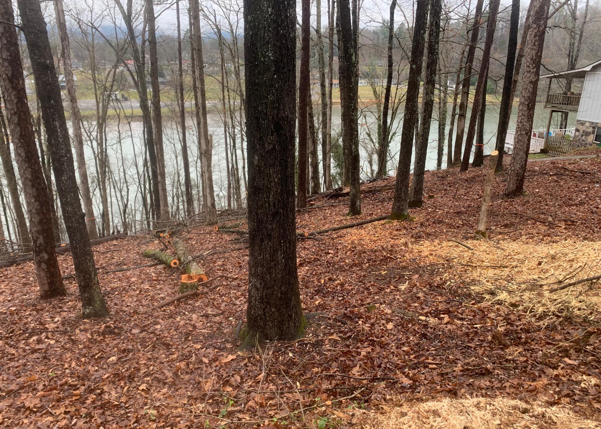 0 Scenic Drive, Lot 128