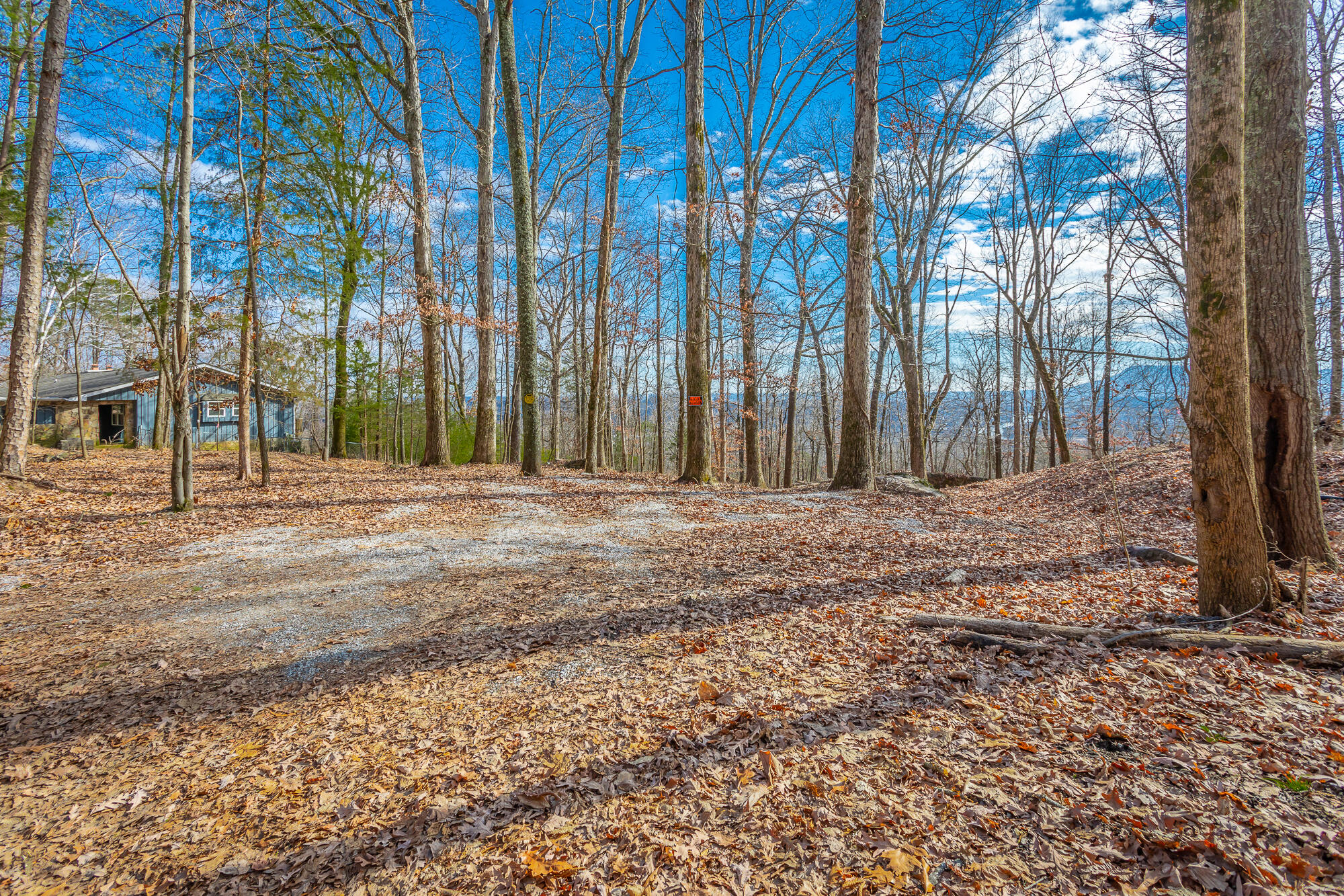 1038 Balmoral Drive