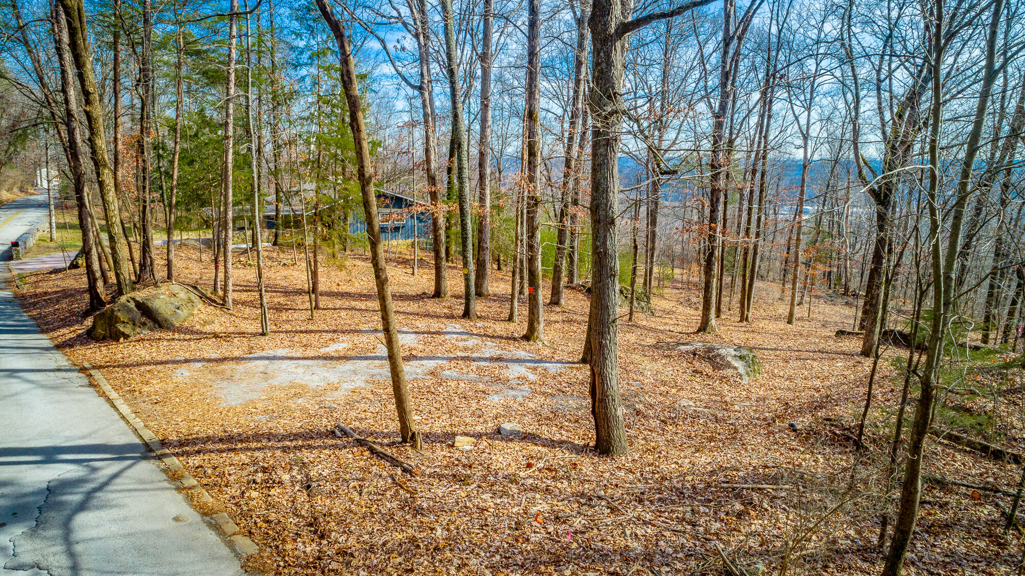 1038 Balmoral Drive