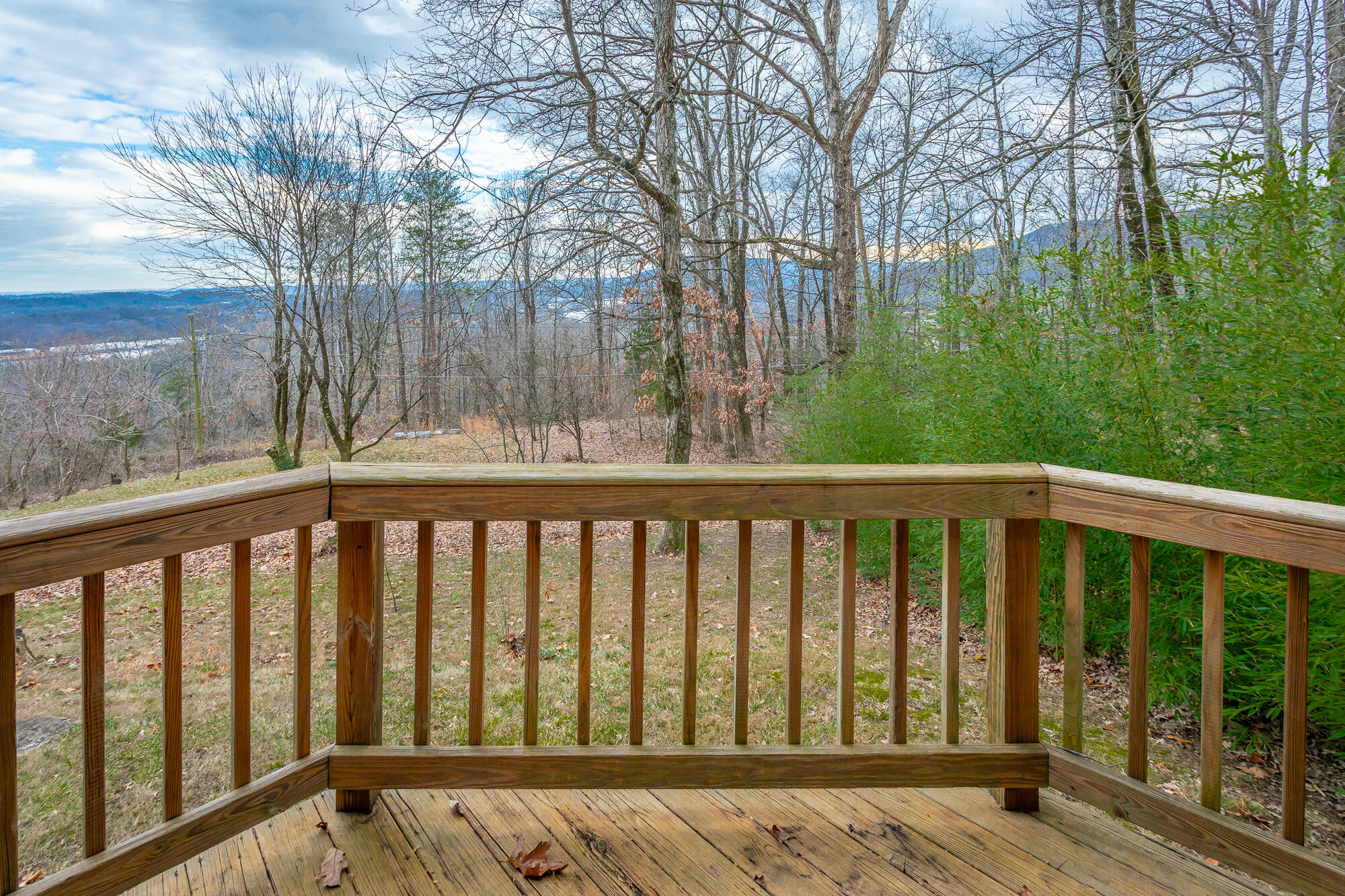 1038 Balmoral Drive