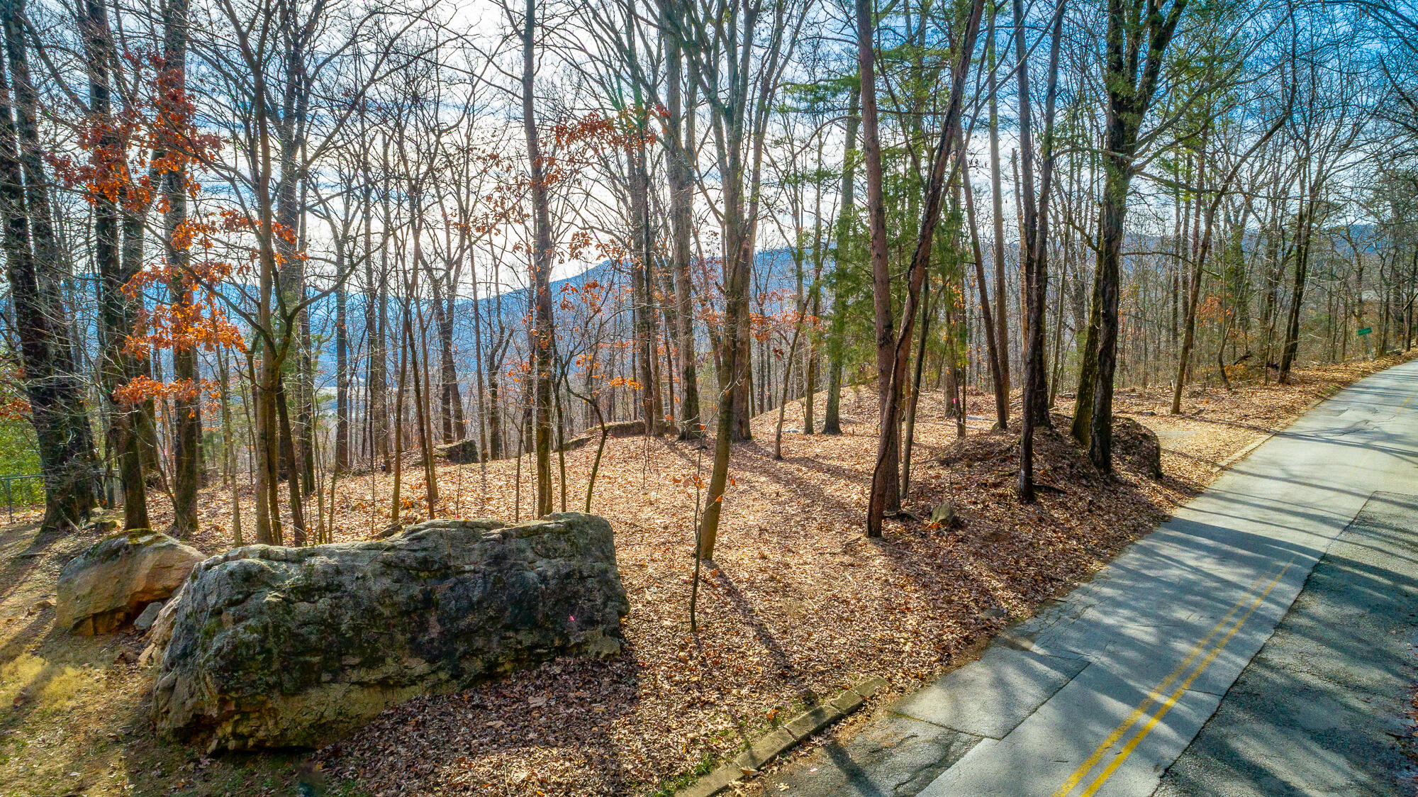 1038 Balmoral Drive