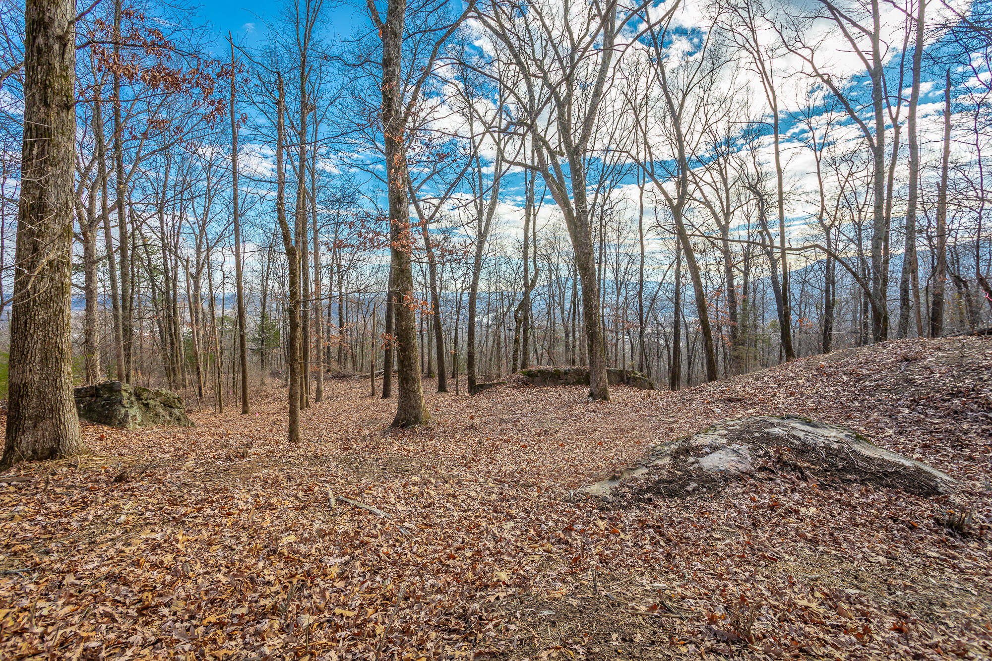 1038 Balmoral Drive