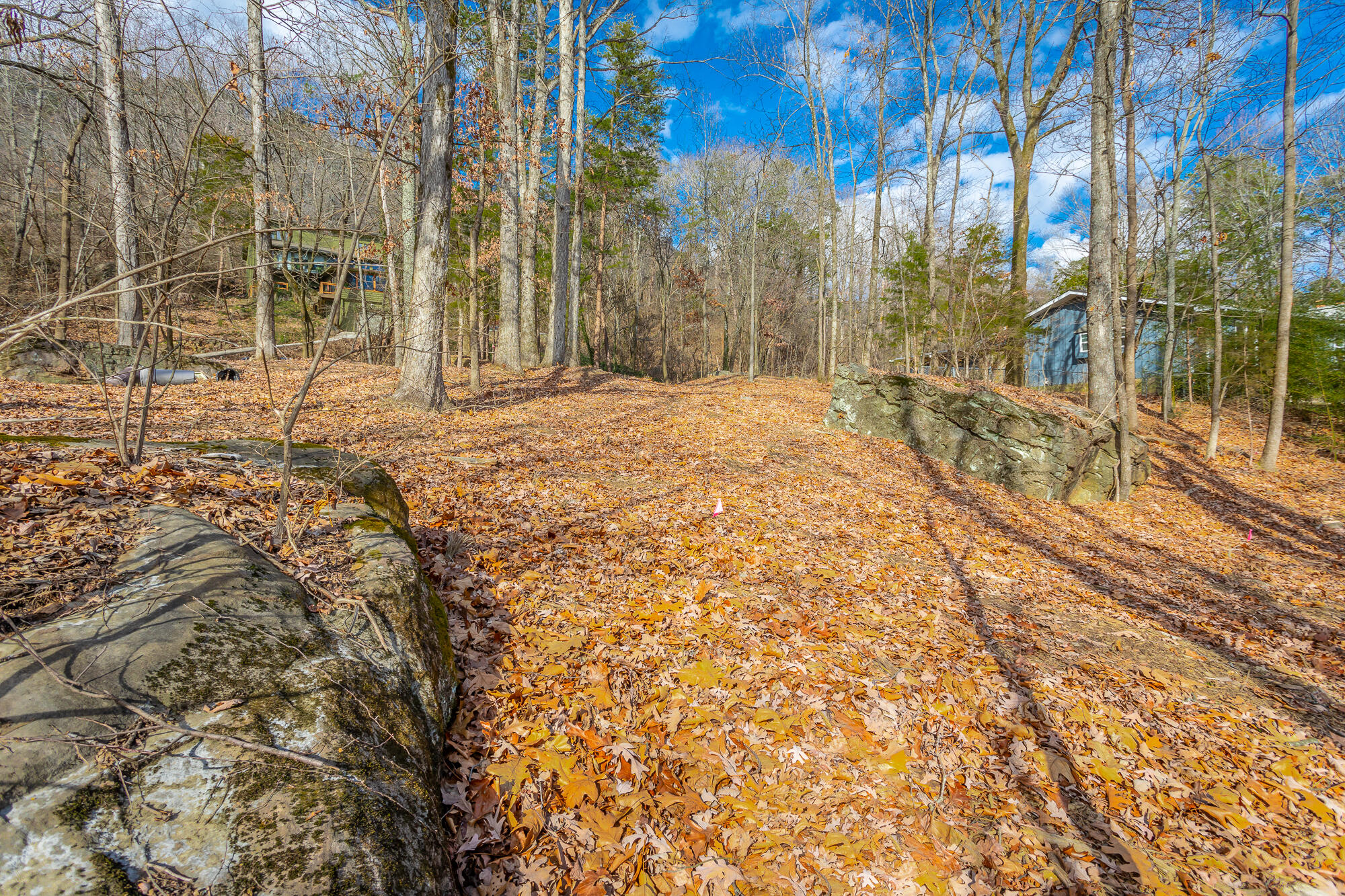 1038 Balmoral Drive