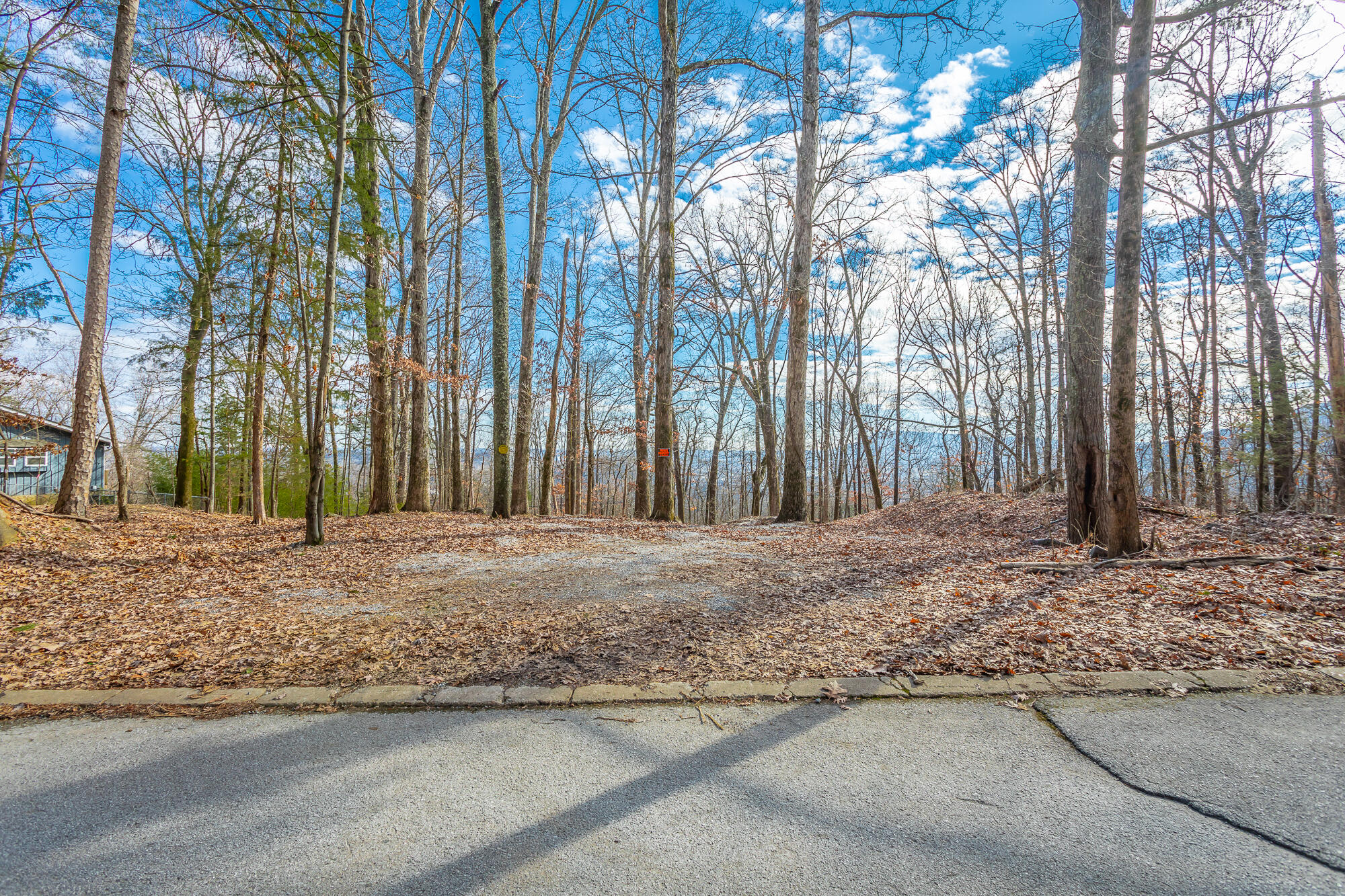 1038 Balmoral Drive