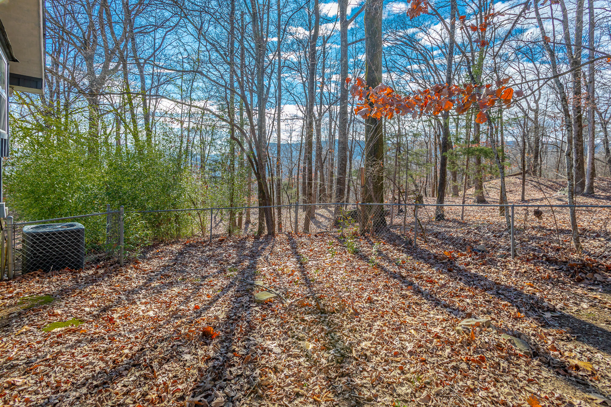 1038 Balmoral Drive