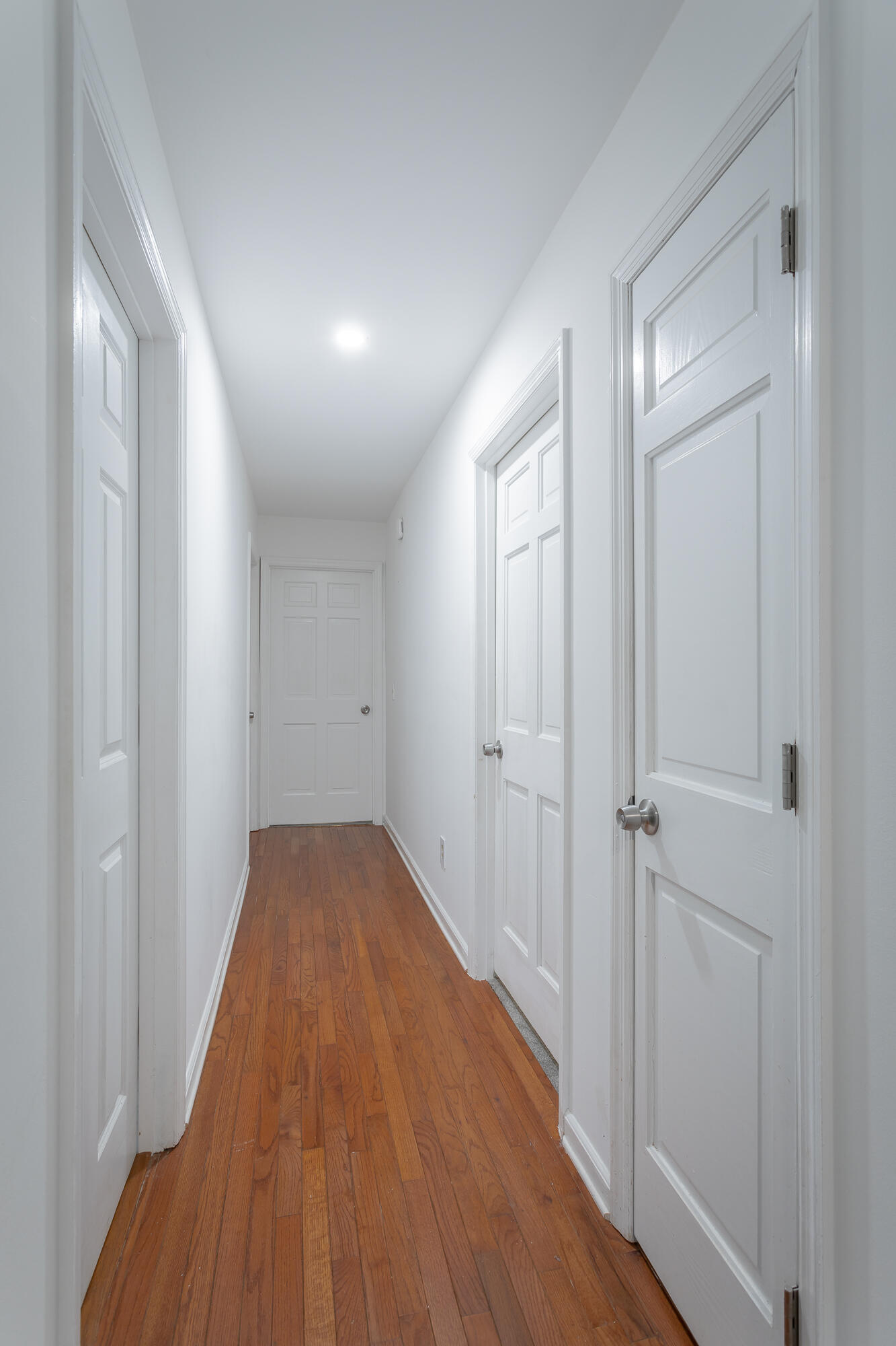 1038 Balmoral Drive