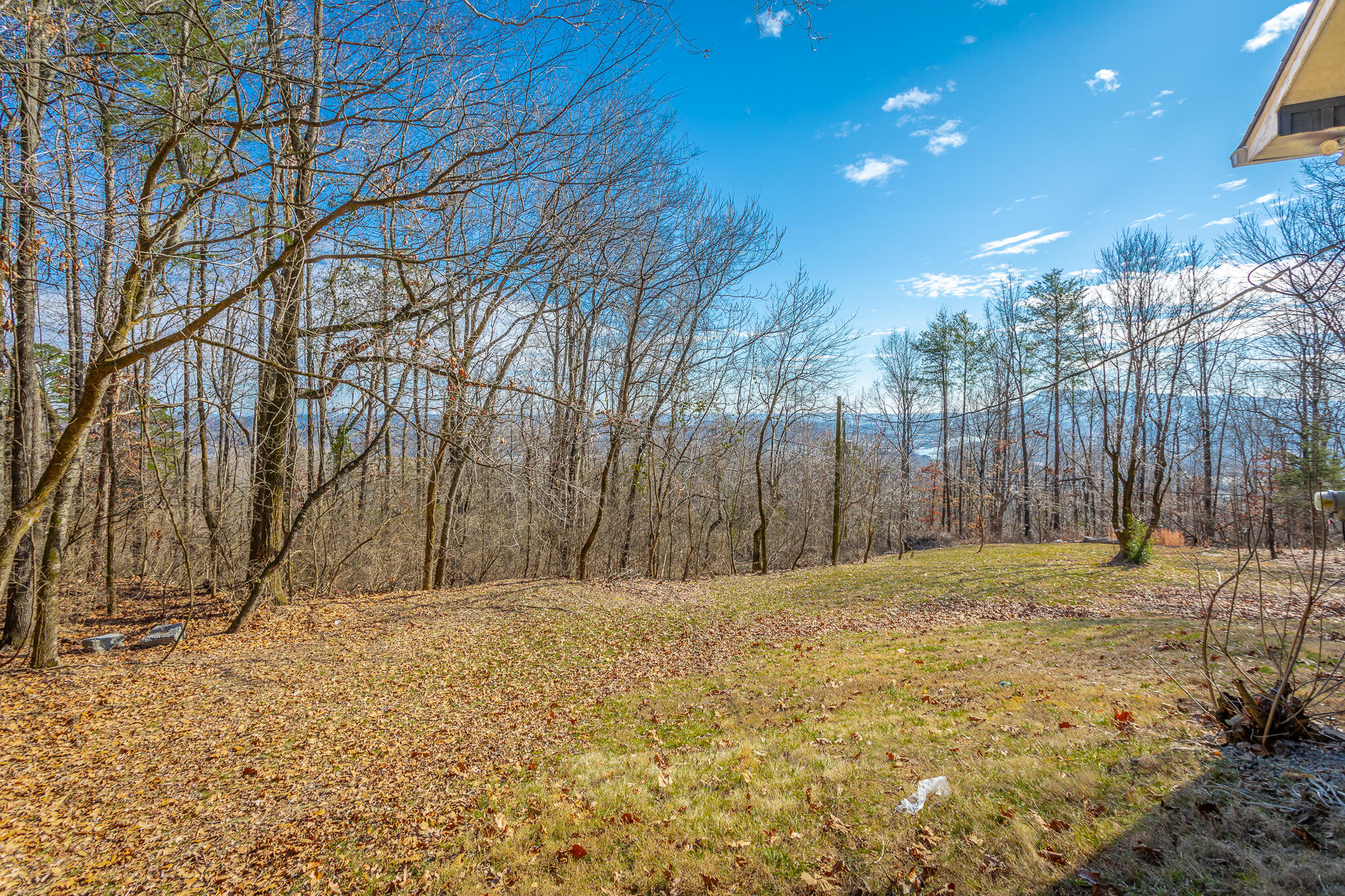 1038 Balmoral Drive