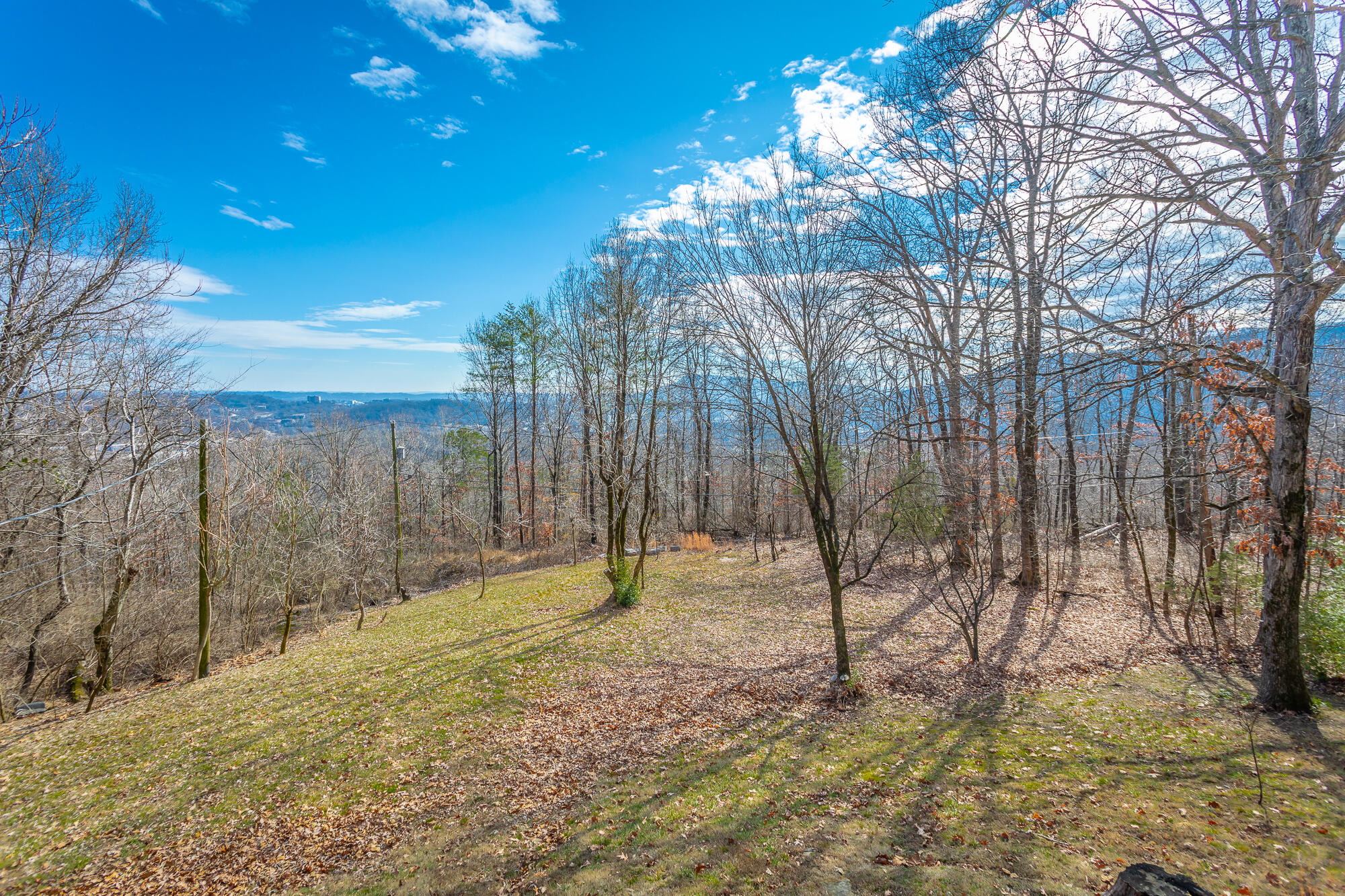 1038 Balmoral Drive