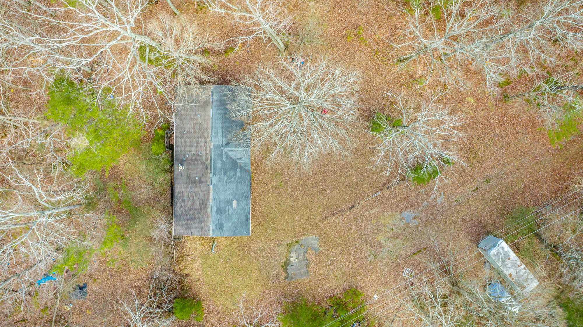 10009 Sunny Lane