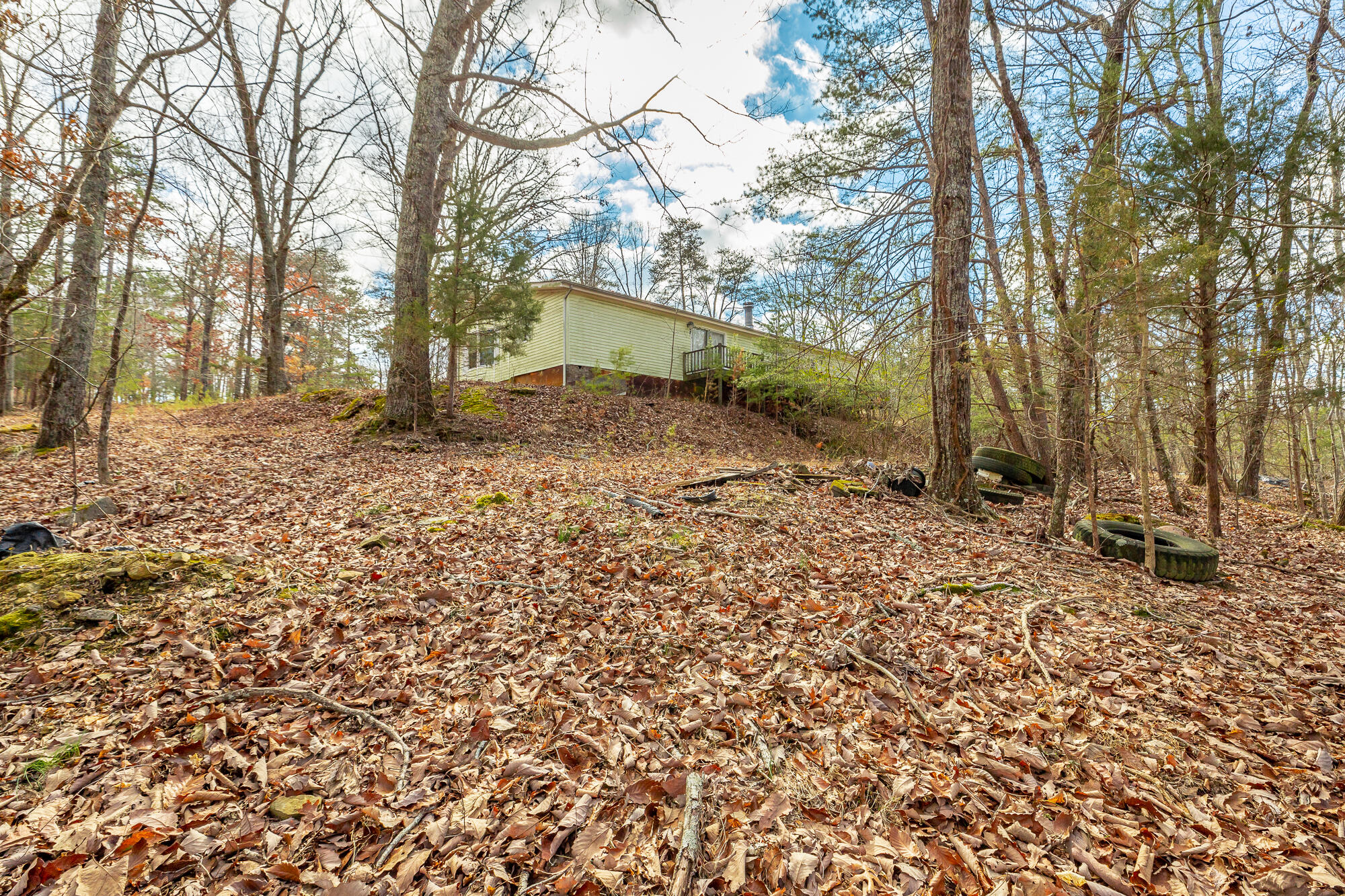 10009 Sunny Lane