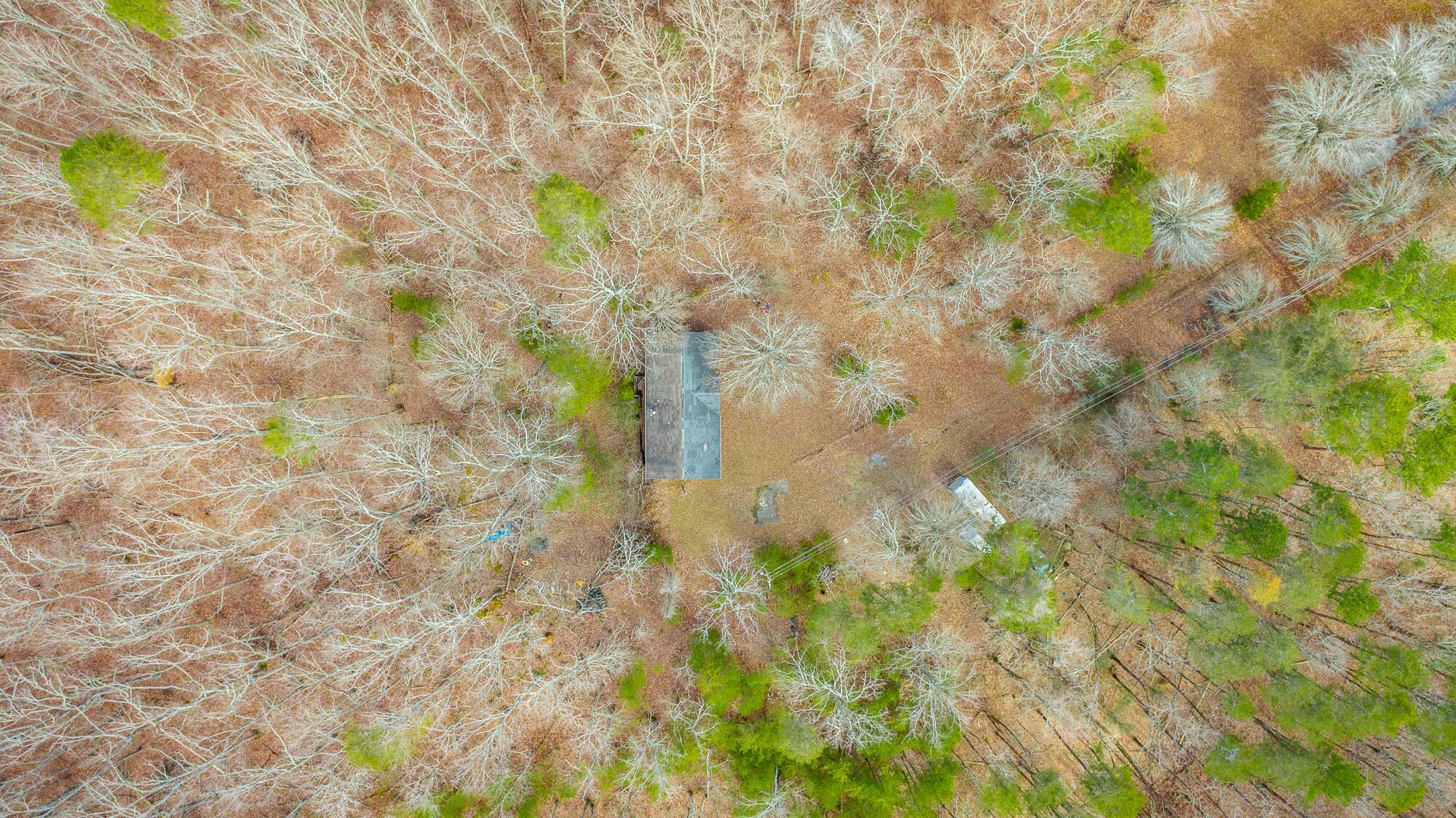 10009 Sunny Lane