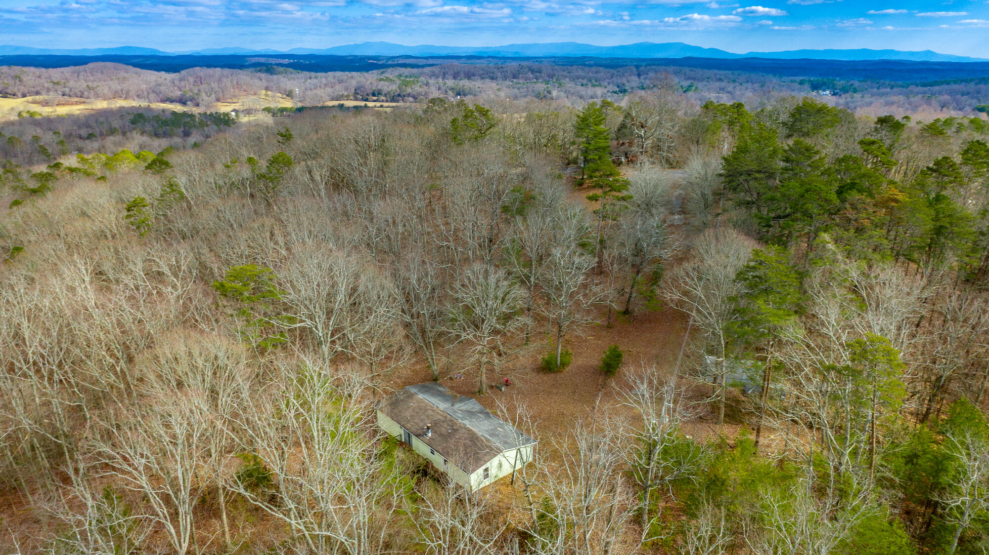 10009 Sunny Lane