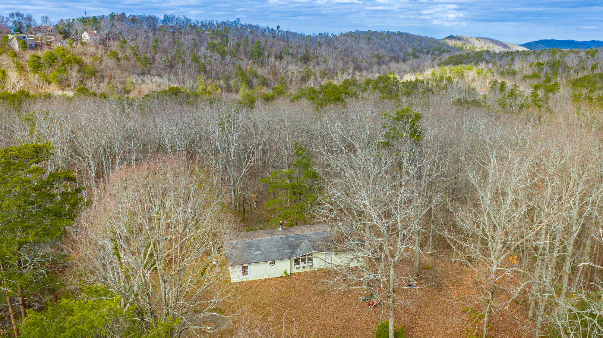 10009 Sunny Lane