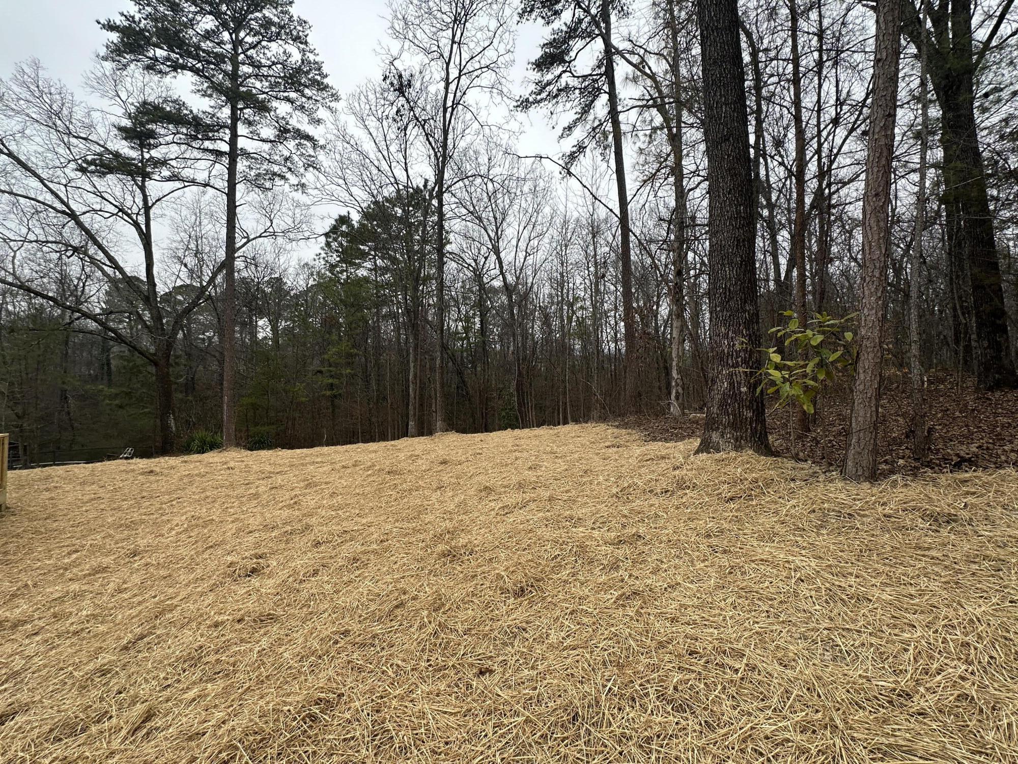 125 N Fox Run Circle