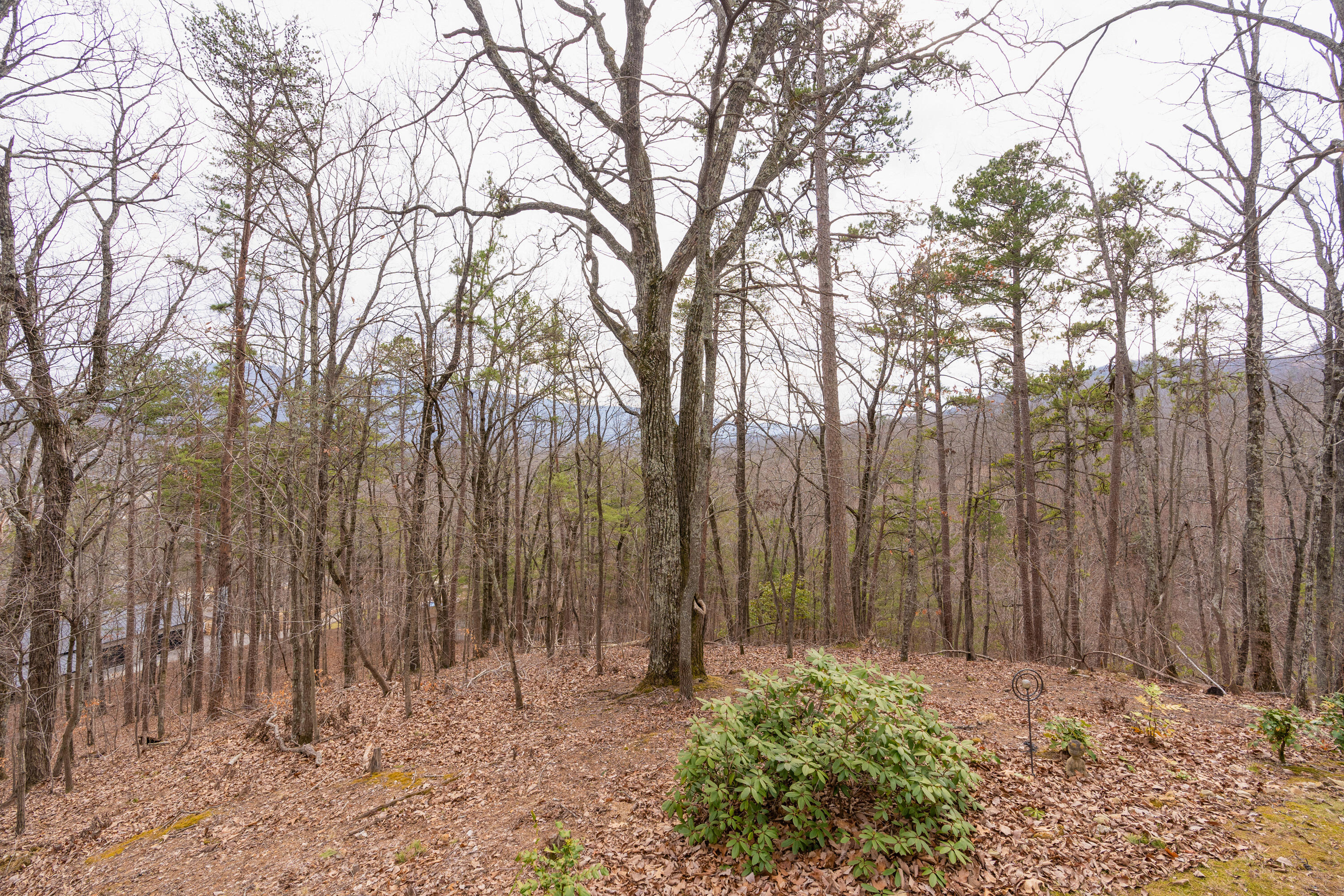 3840 Elder Gap Pl