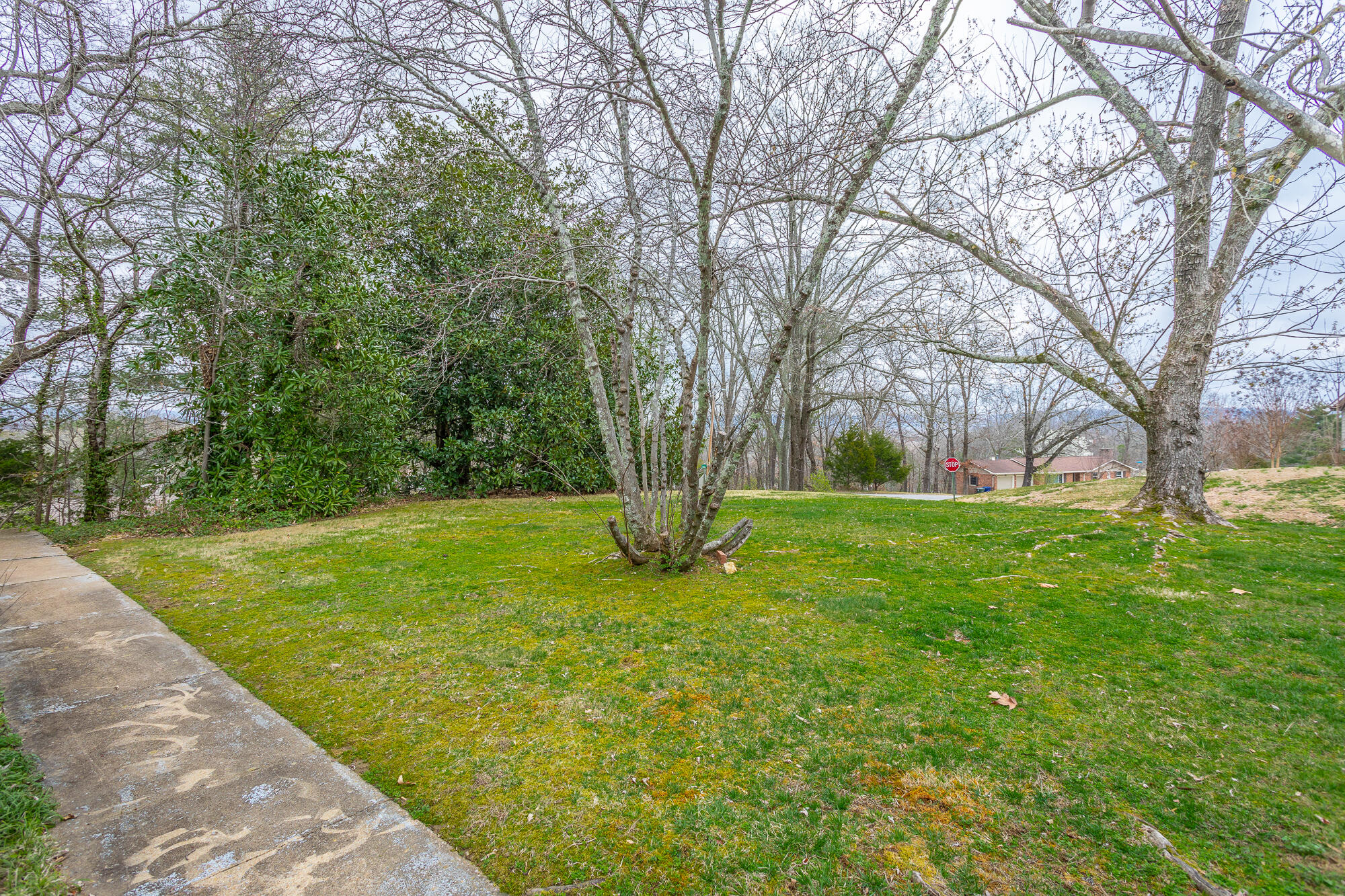 4537 Joack Lane