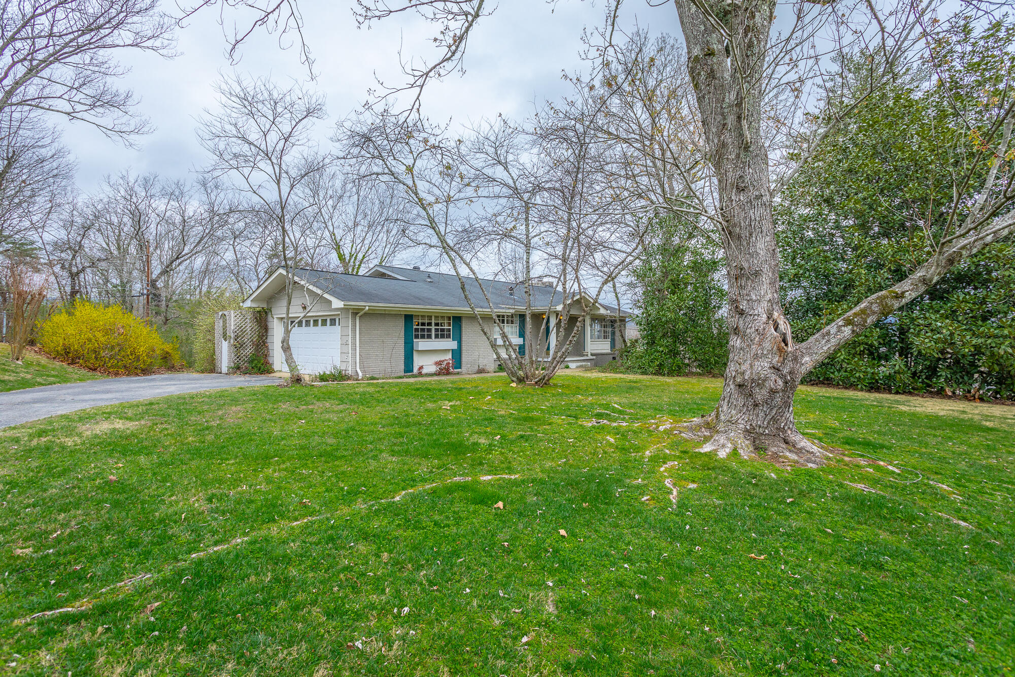 4537 Joack Lane