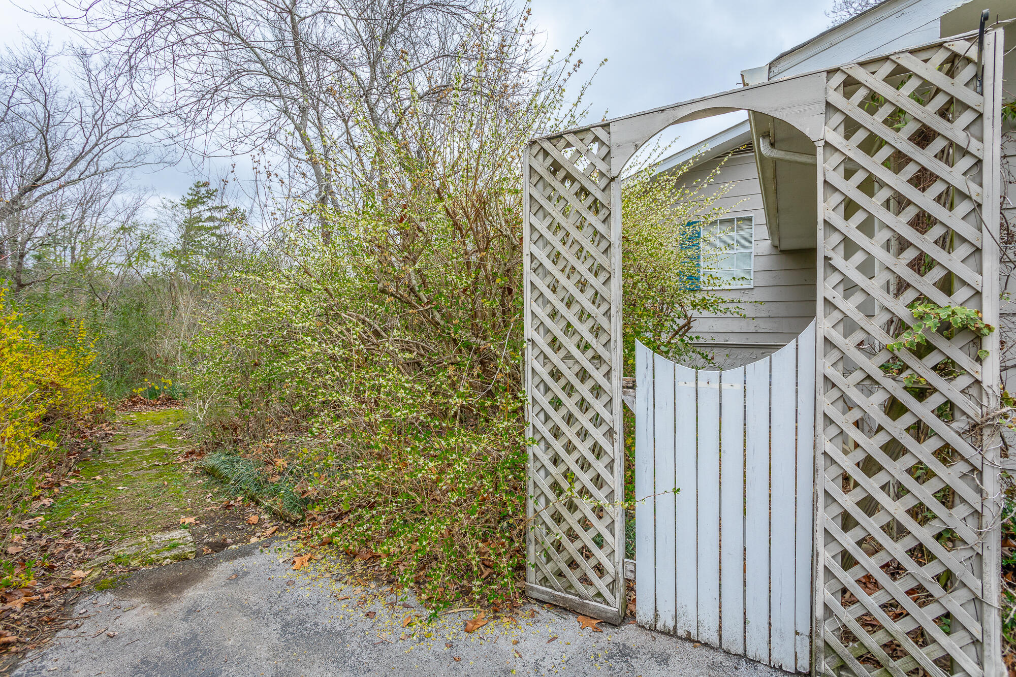 4537 Joack Lane