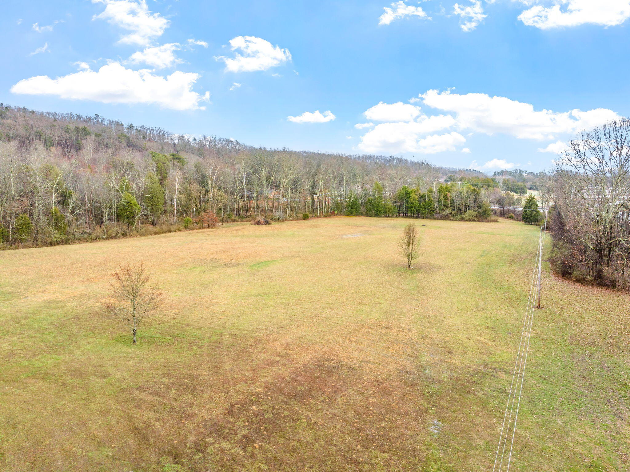 717 Paint Rock Ferry Road