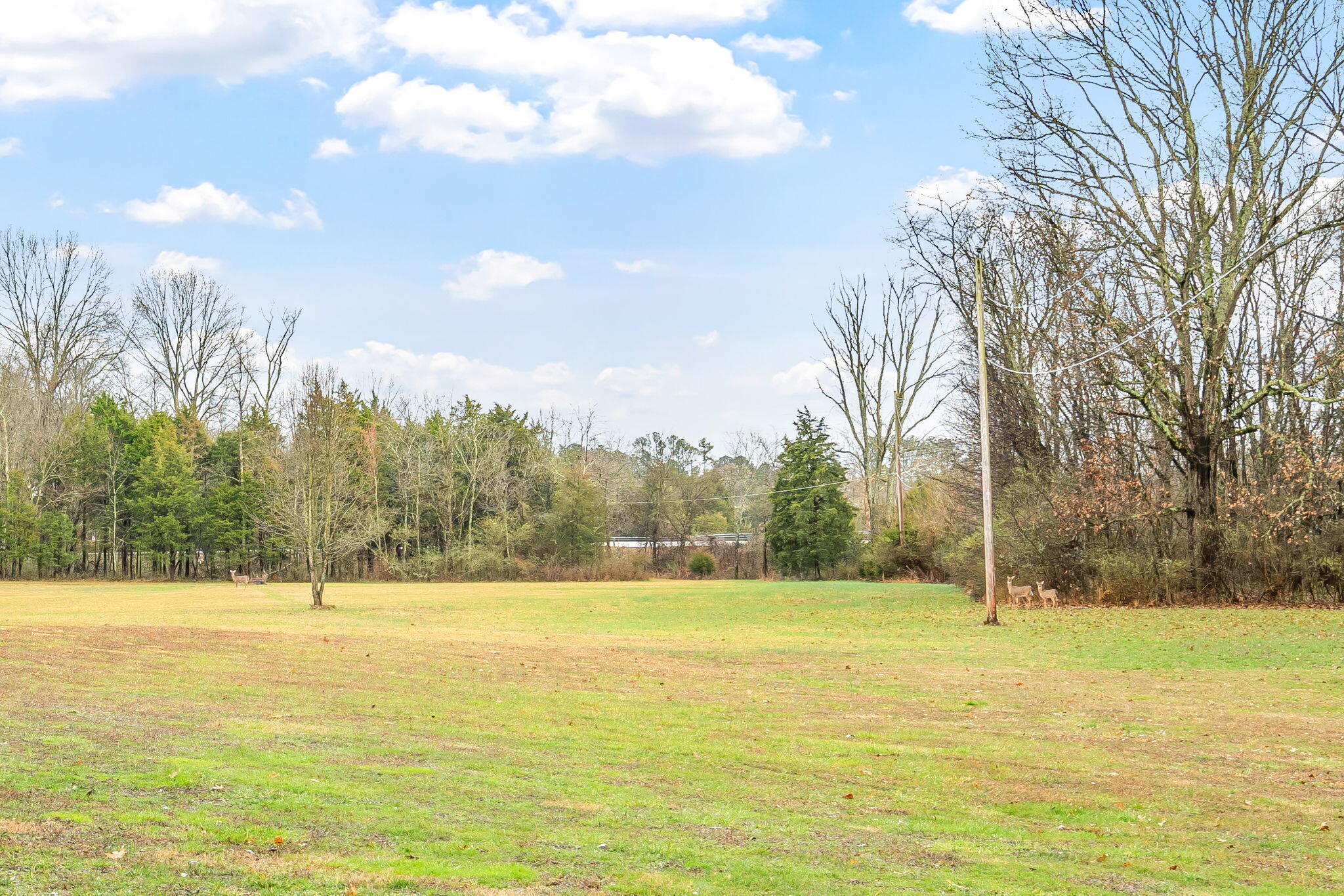 717 Paint Rock Ferry Road