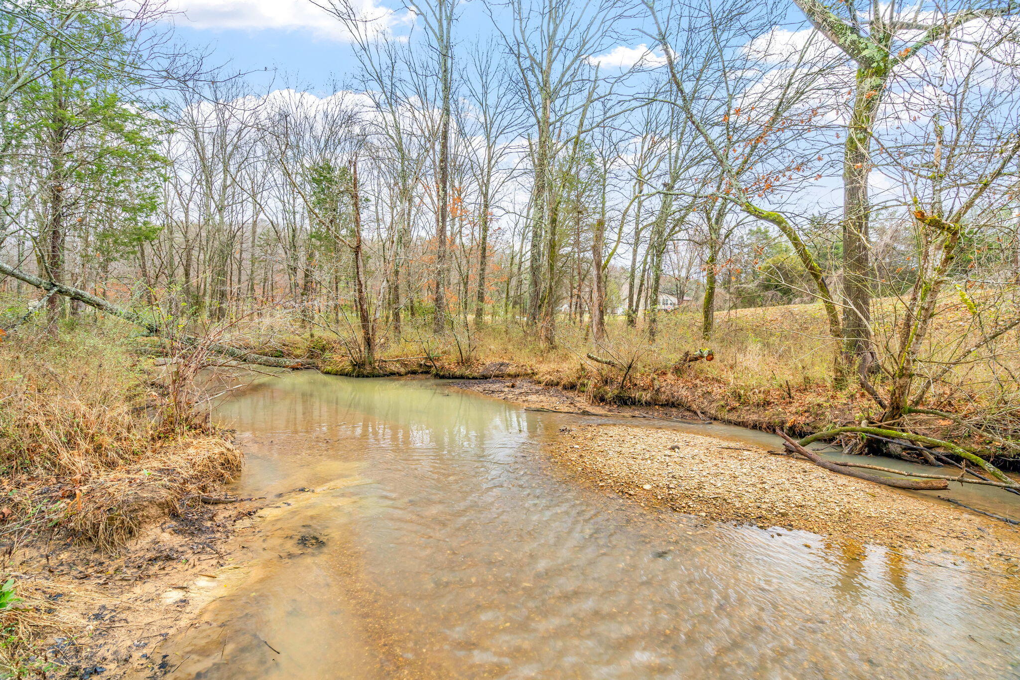 717 Paint Rock Ferry Road