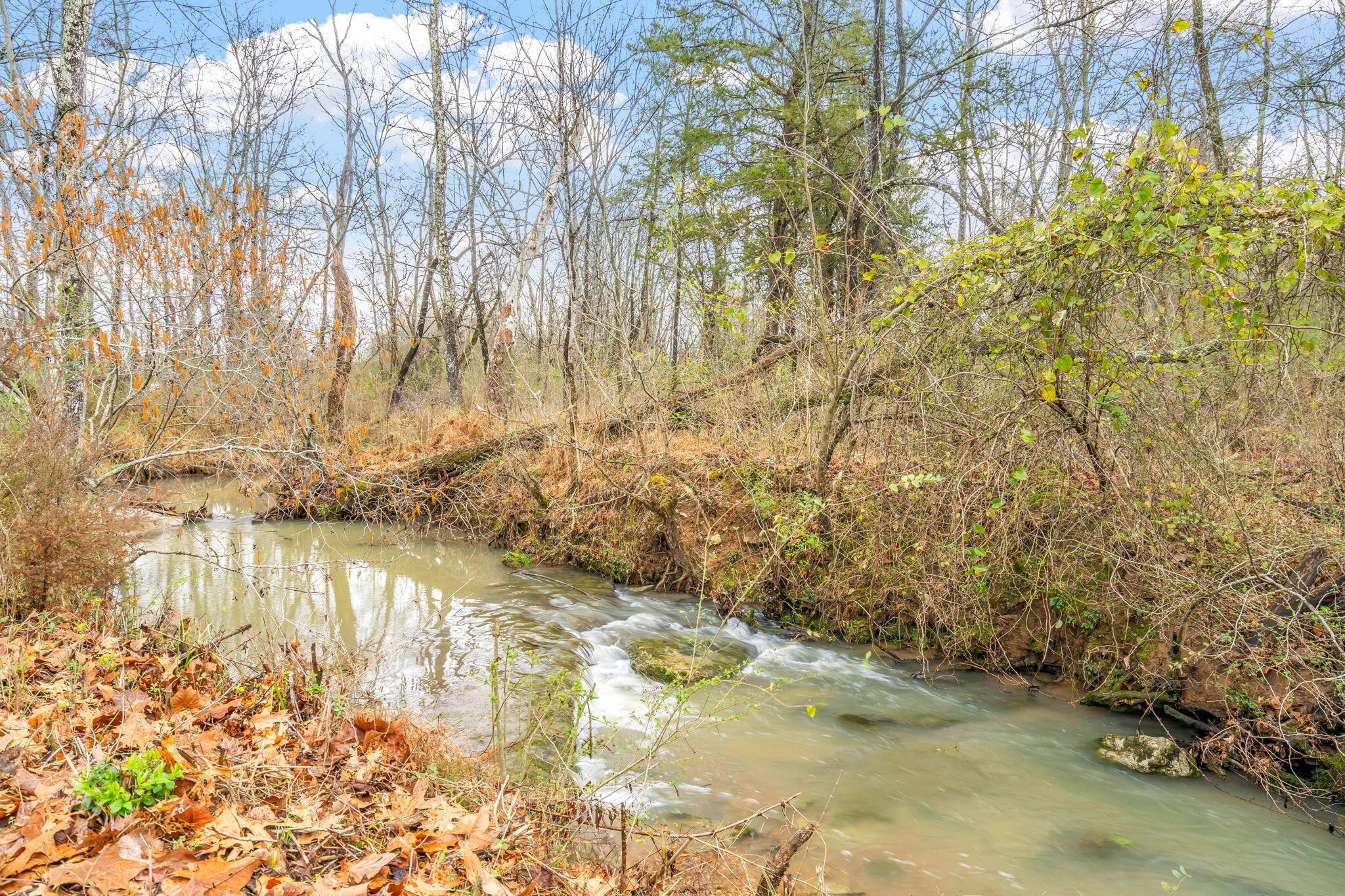 717 Paint Rock Ferry Road