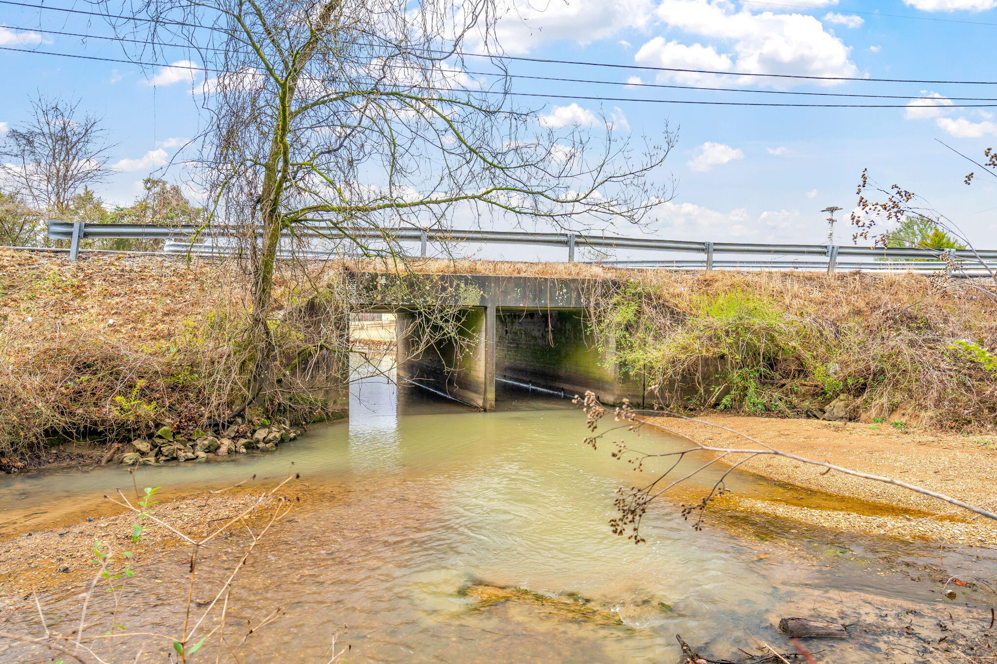 717 Paint Rock Ferry Road