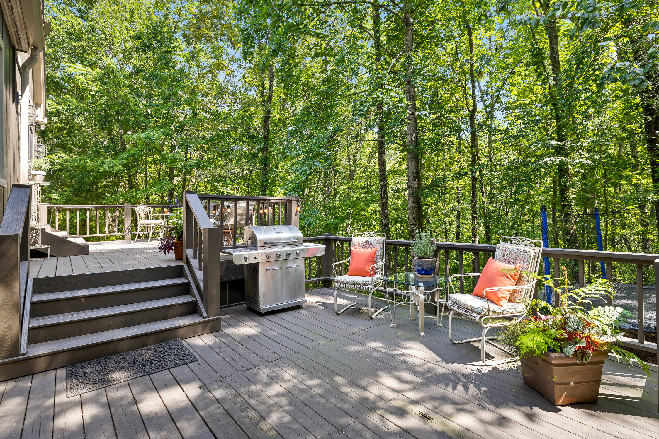 2452 Wood Sorrell Ln