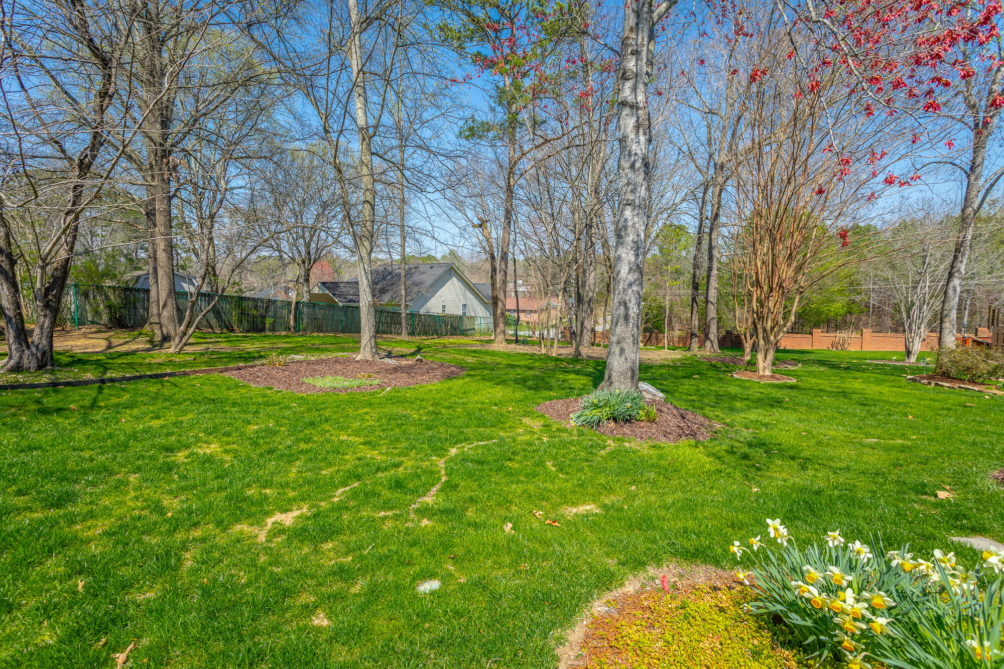 2421 Royal Fern Tr