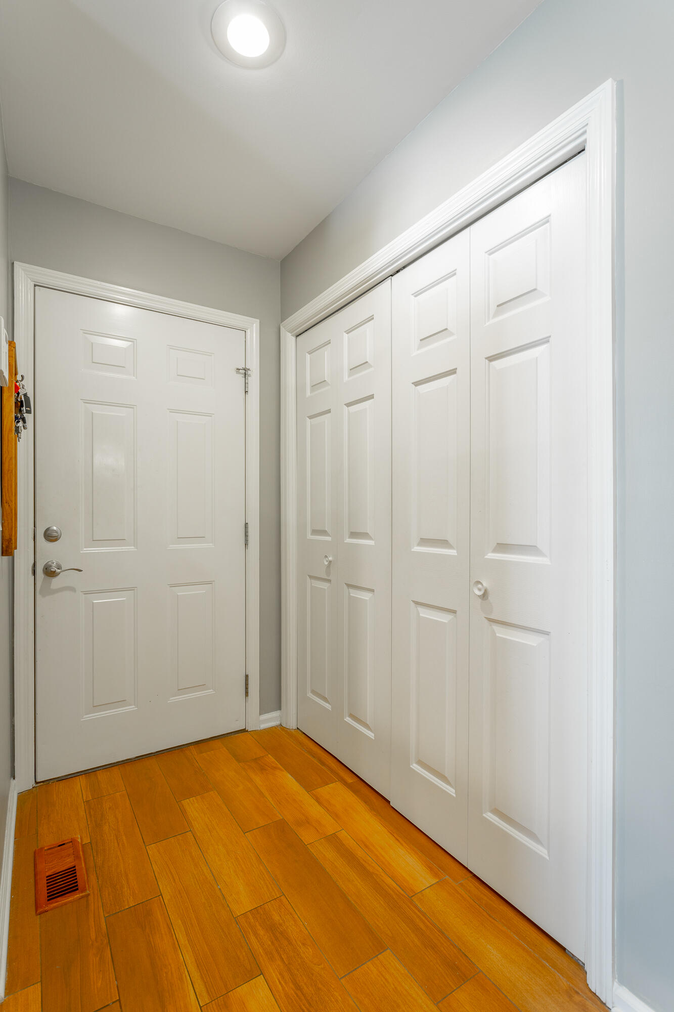 2421 Royal Fern Tr