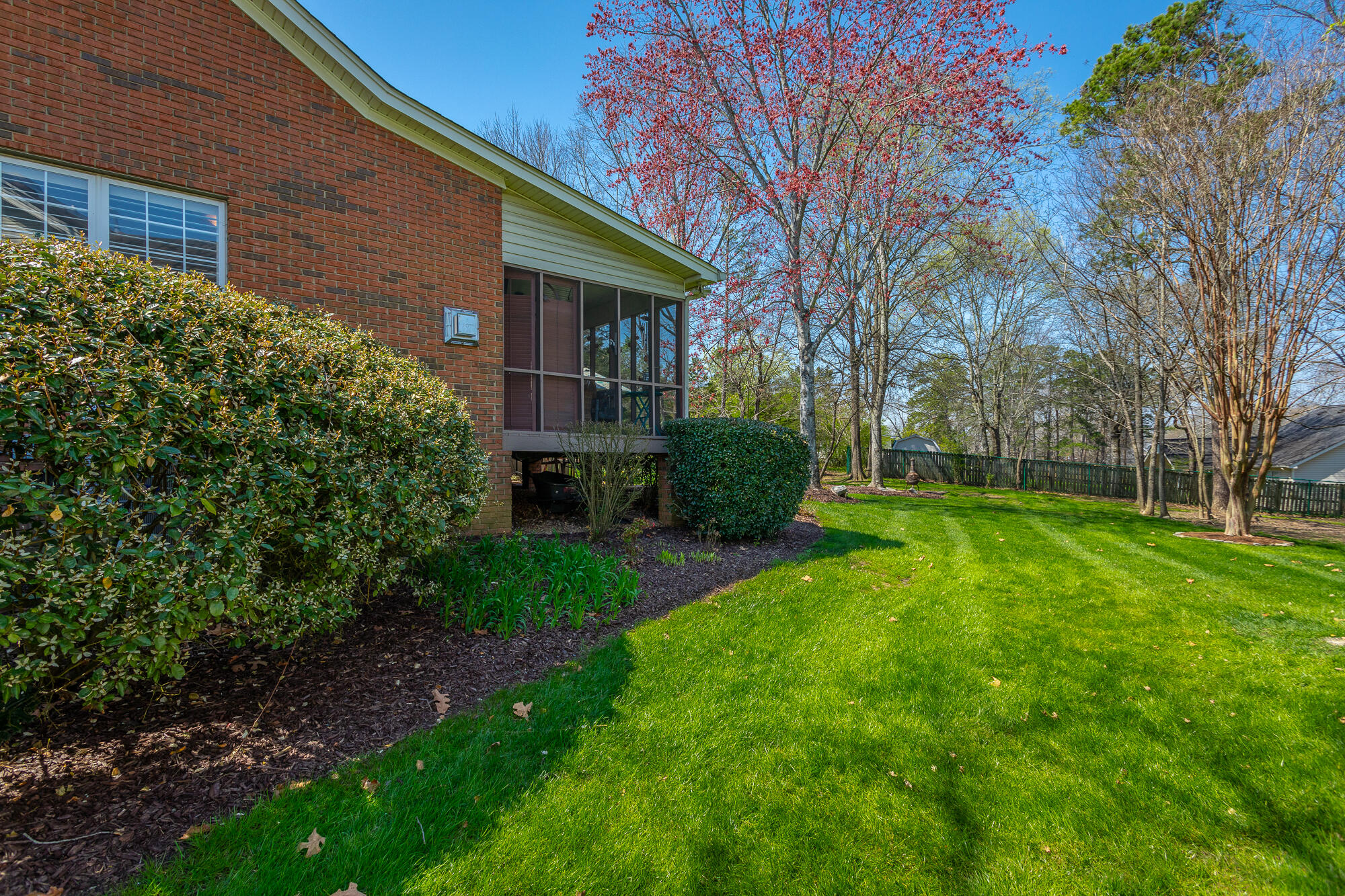 2421 Royal Fern Tr