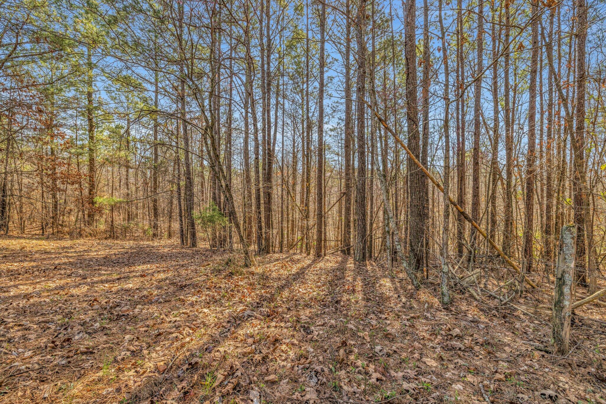 840 SE Ramsey Bridge Rd