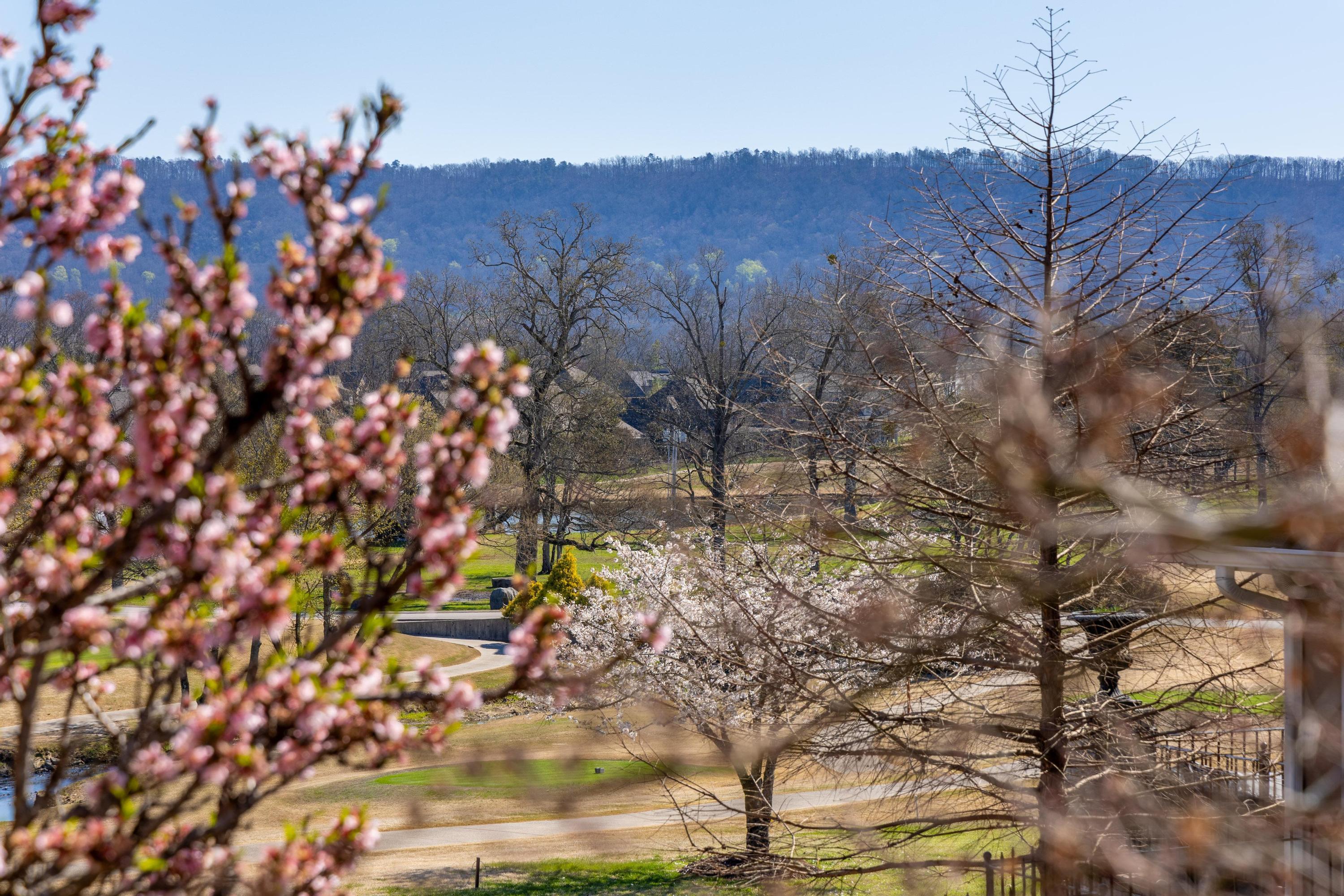 7497 Splendid View Drive