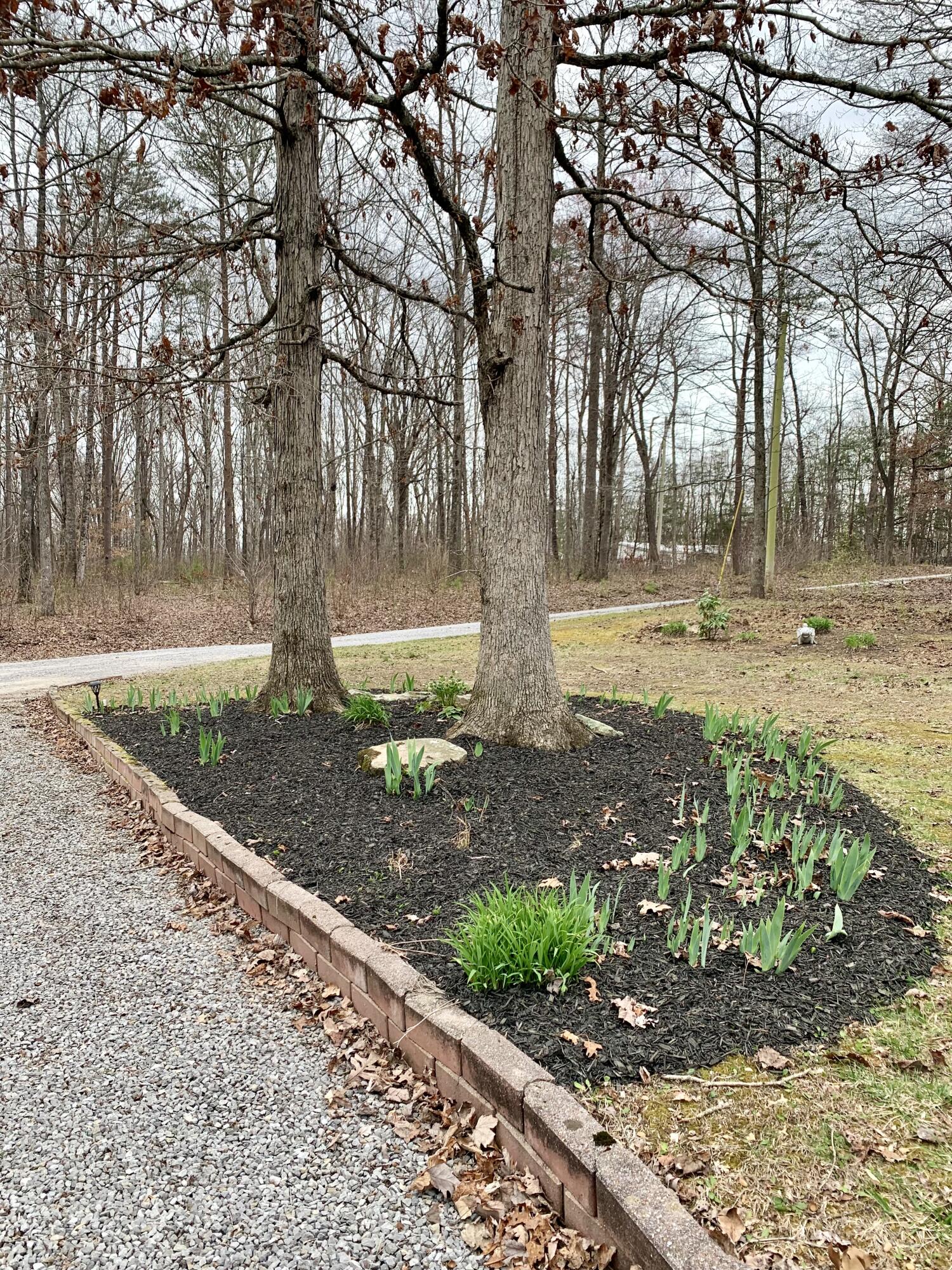 77 Fawn Ln