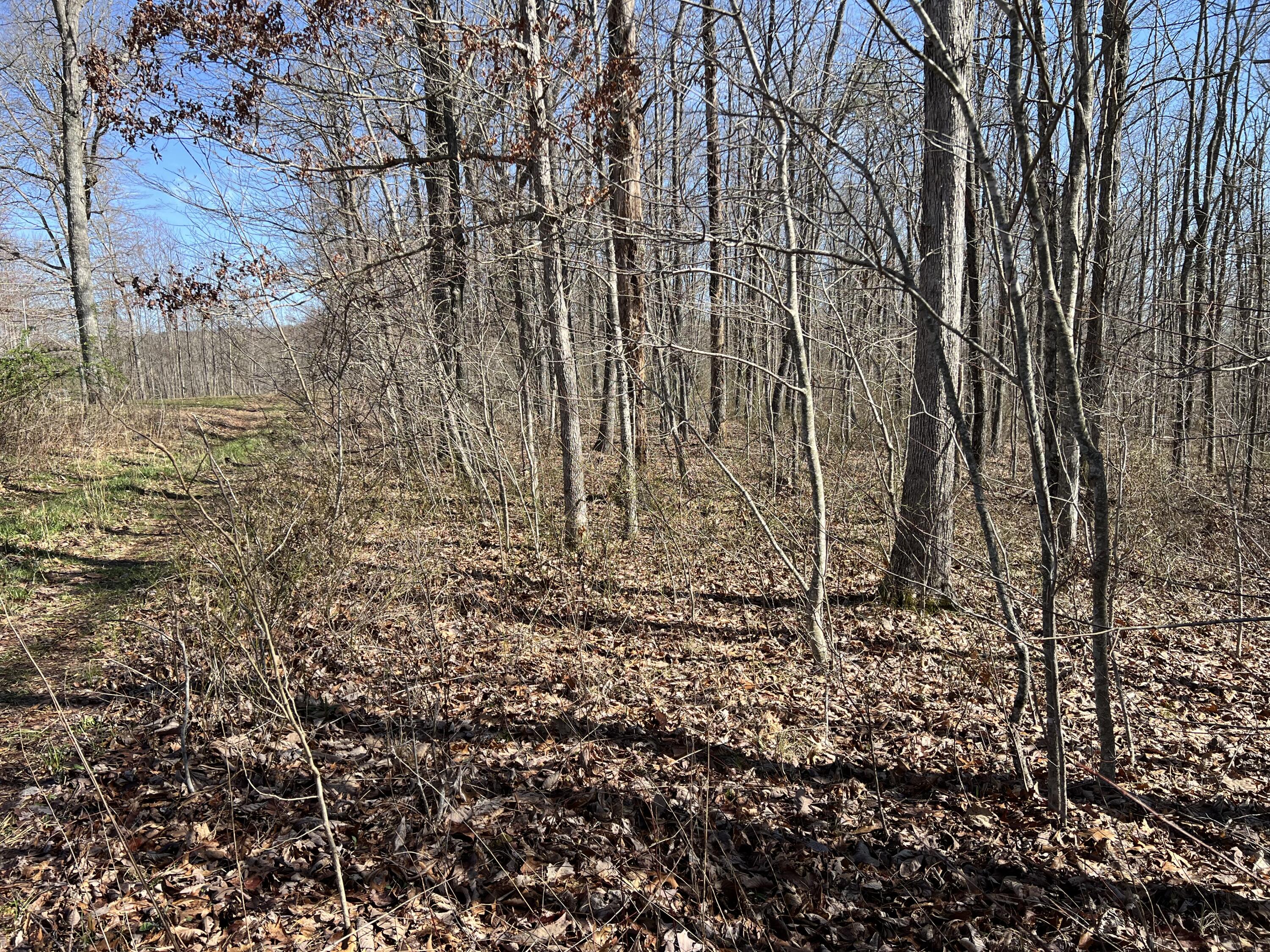 7 Deerhead Road, Lot 7
