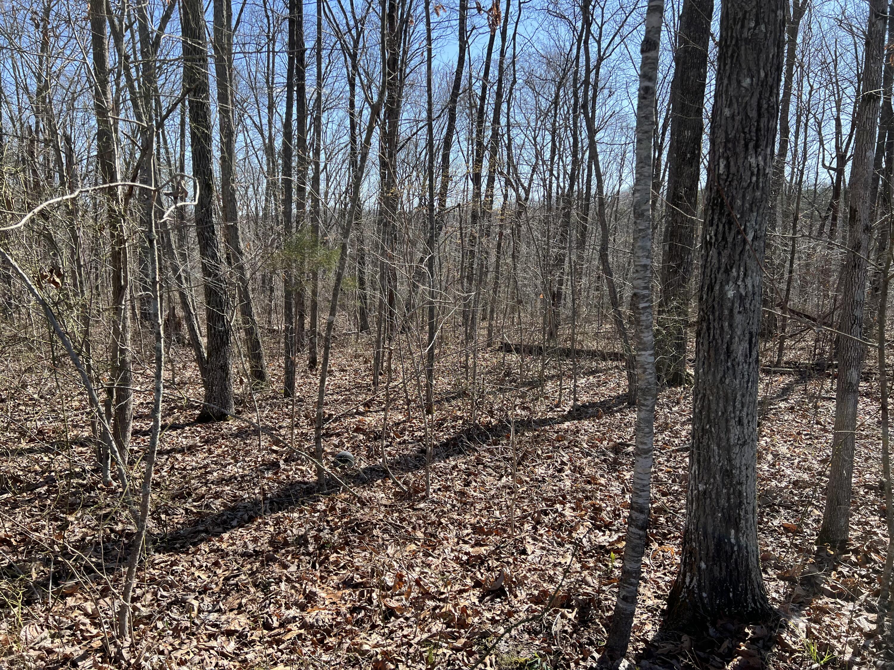 7 Deerhead Road, Lot 7