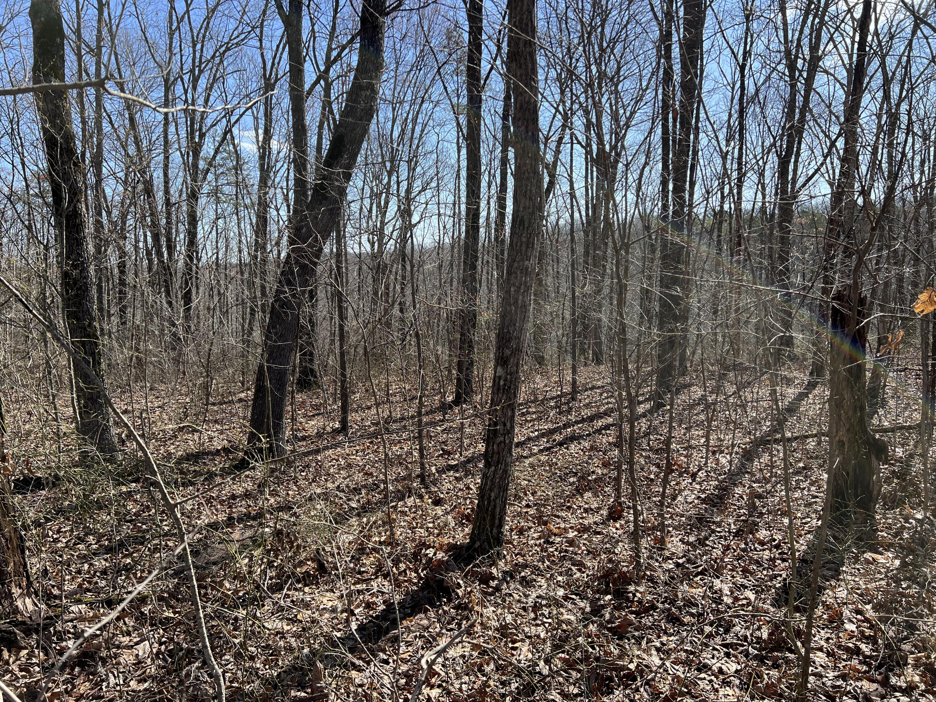 7 Deerhead Road, Lot 7
