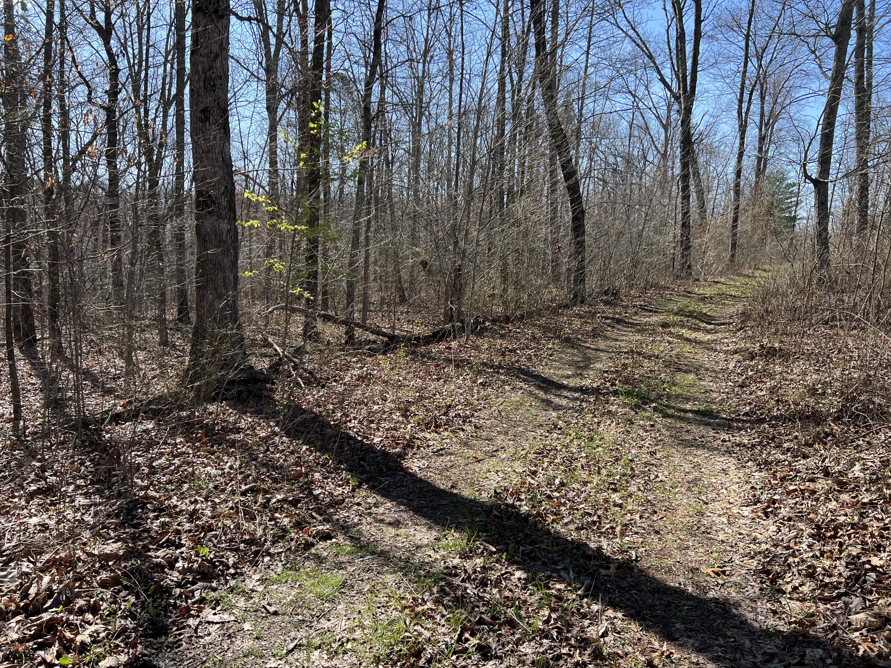 7 Deerhead Road, Lot 7