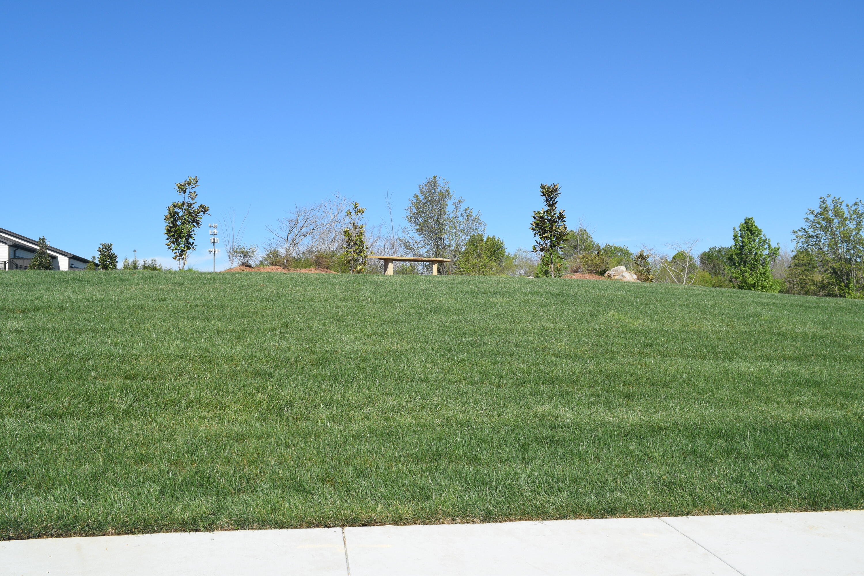722 Wood Grove Circle