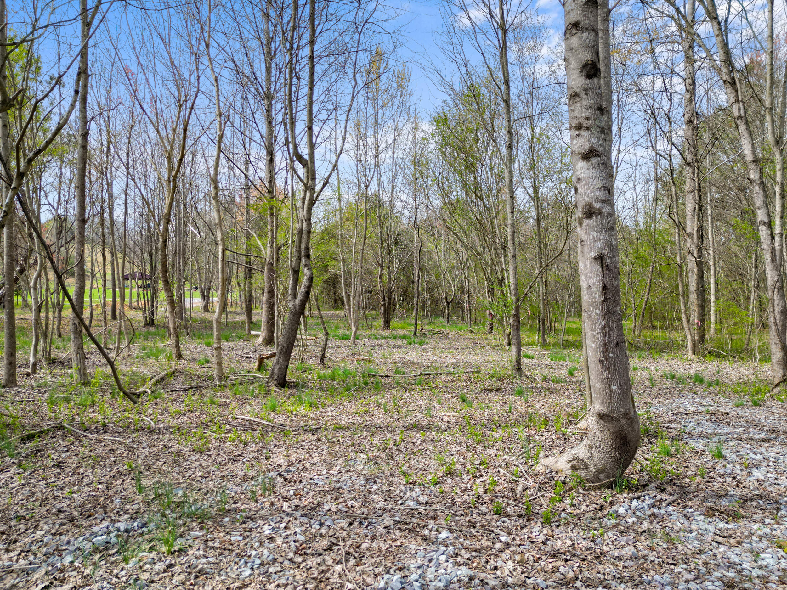 3354 Cherokee Valley Road