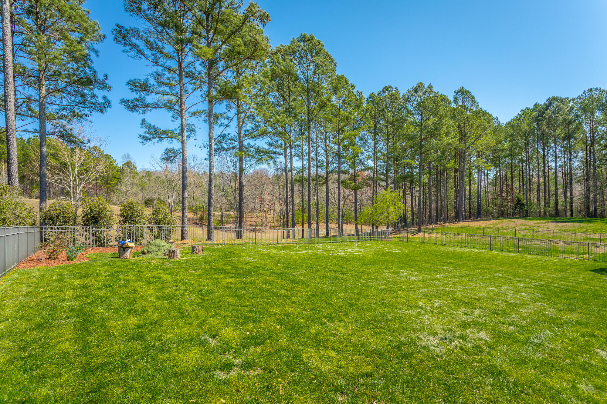 12249 Wildlife Place