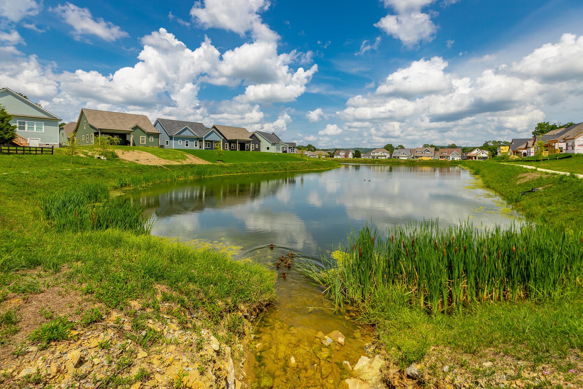 144 Willow Grove Court, 80