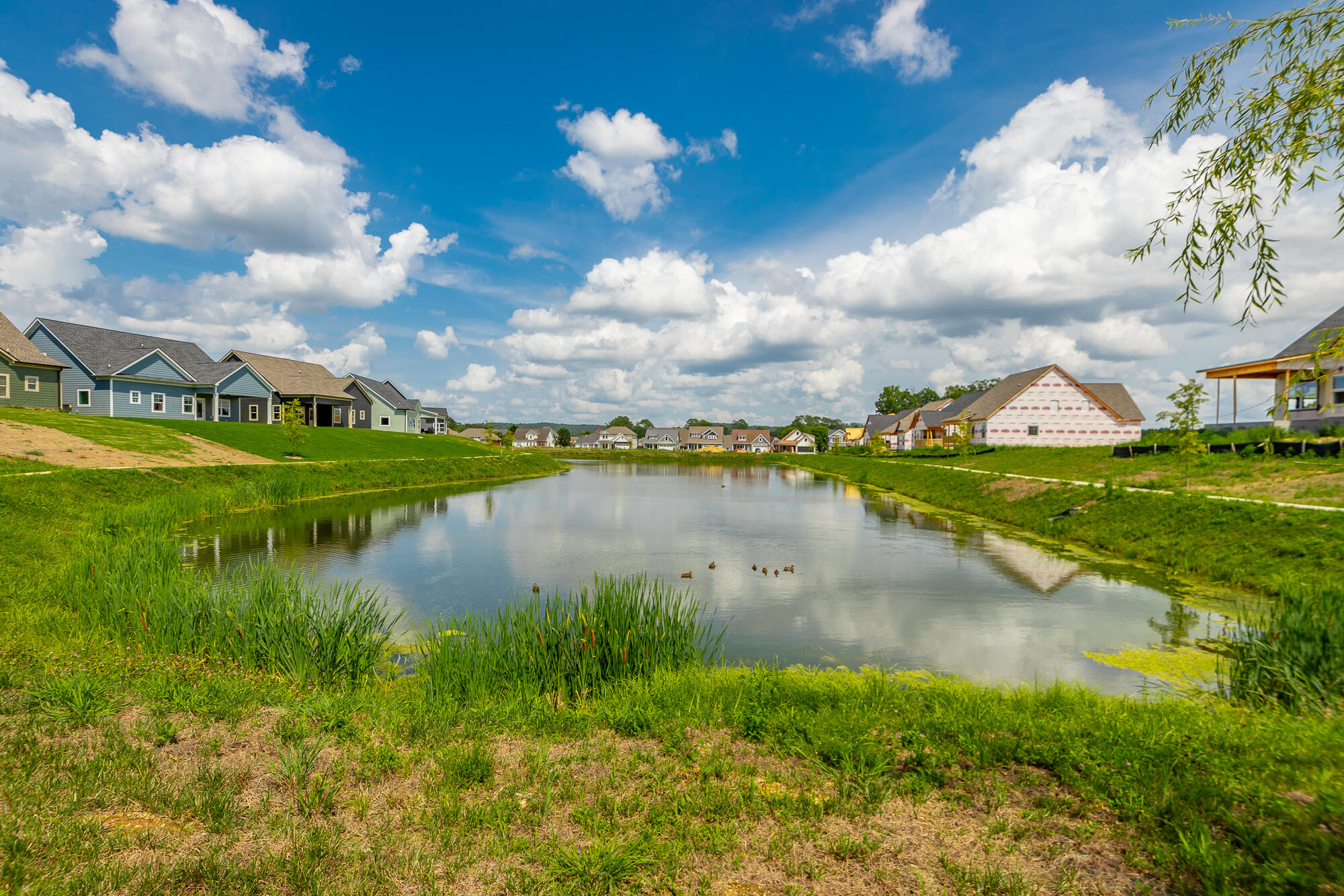 144 Willow Grove Court, 80