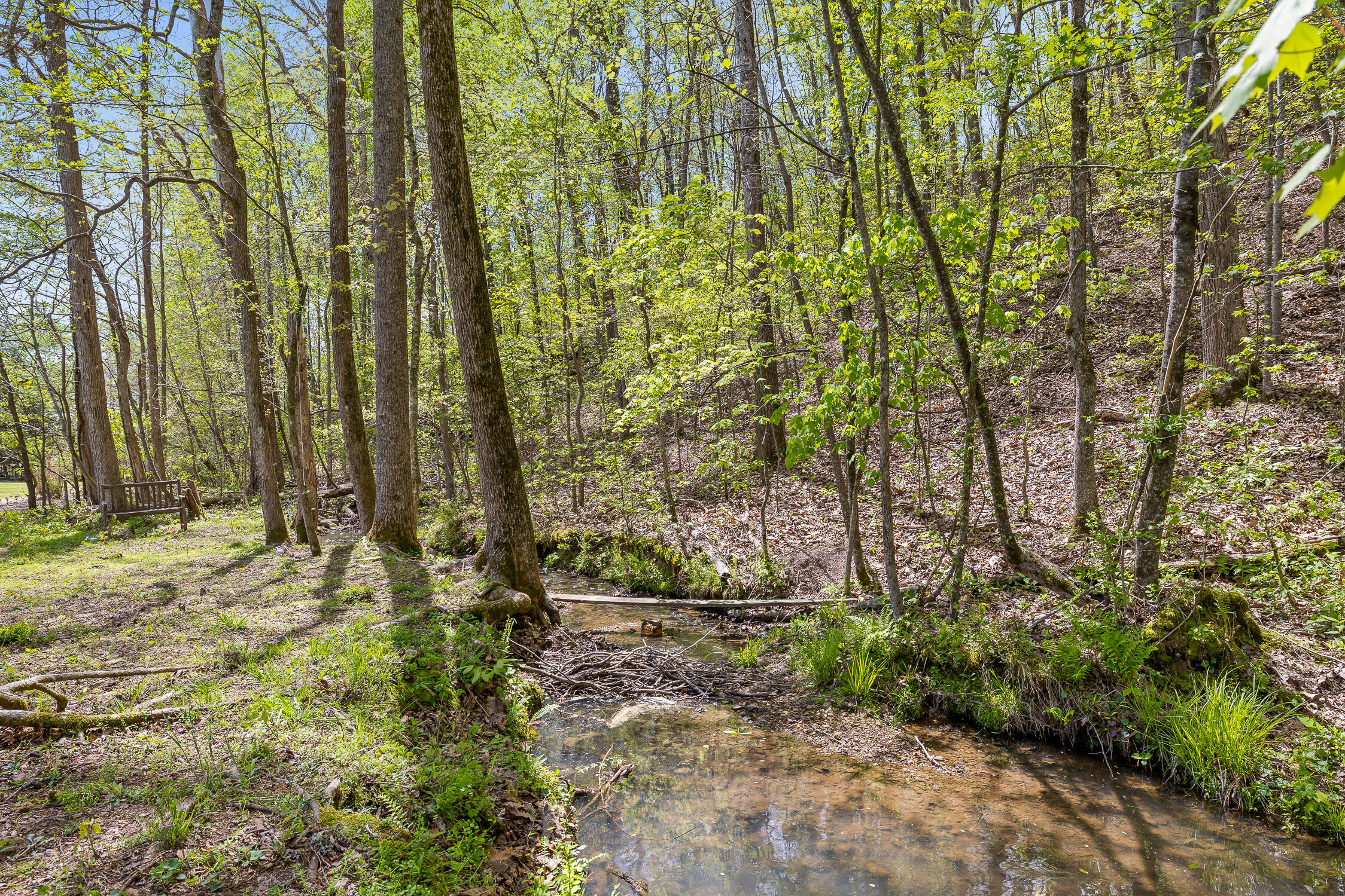 4378 Brush Creek Court