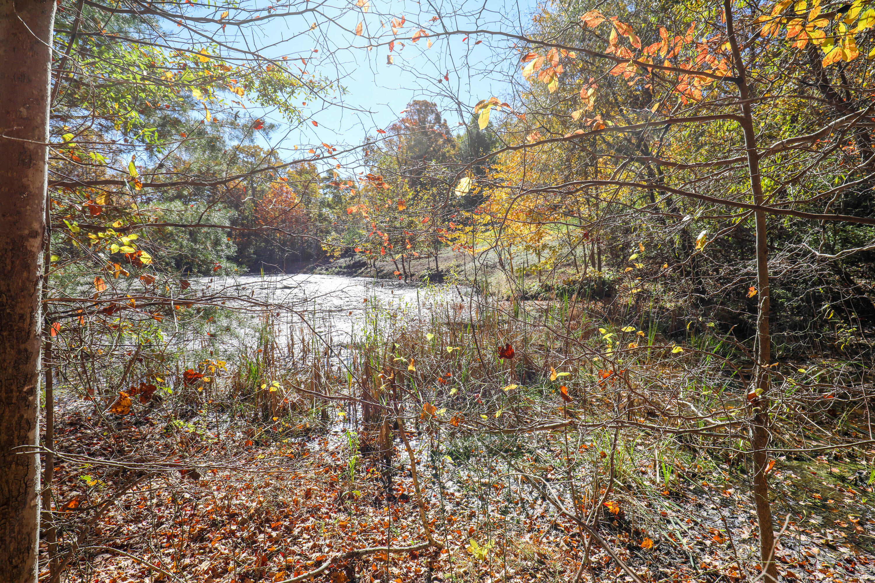226 Hickory Ln
