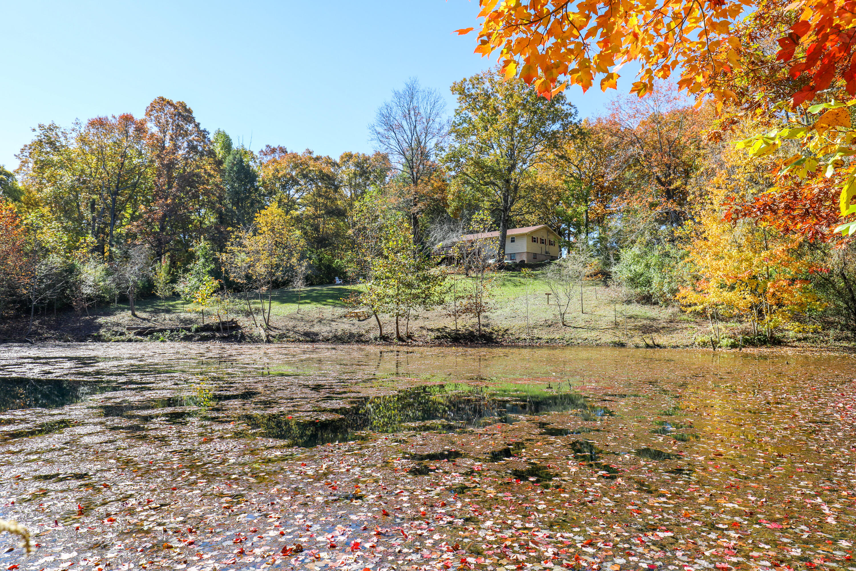 226 Hickory Ln