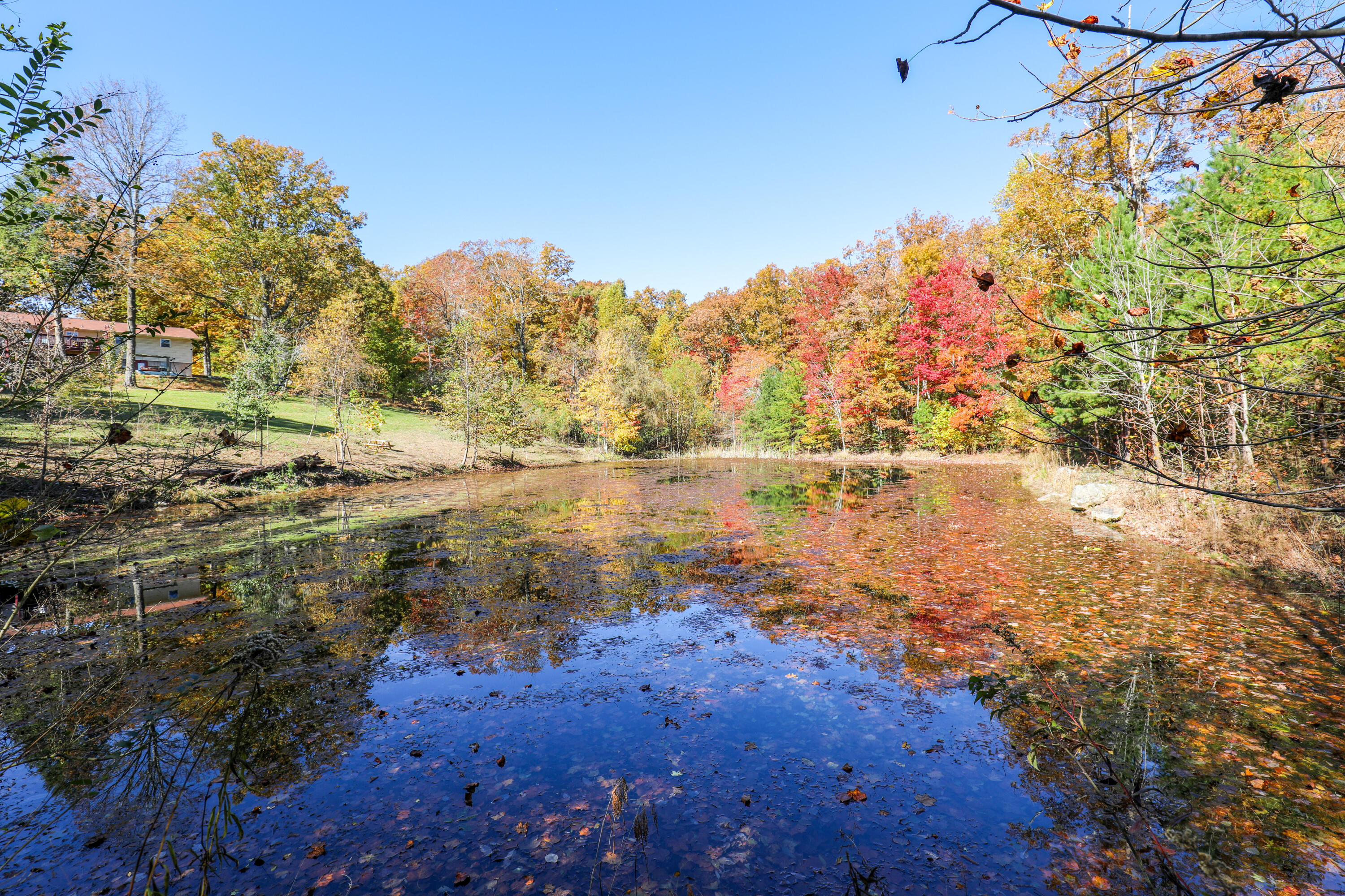 226 Hickory Ln