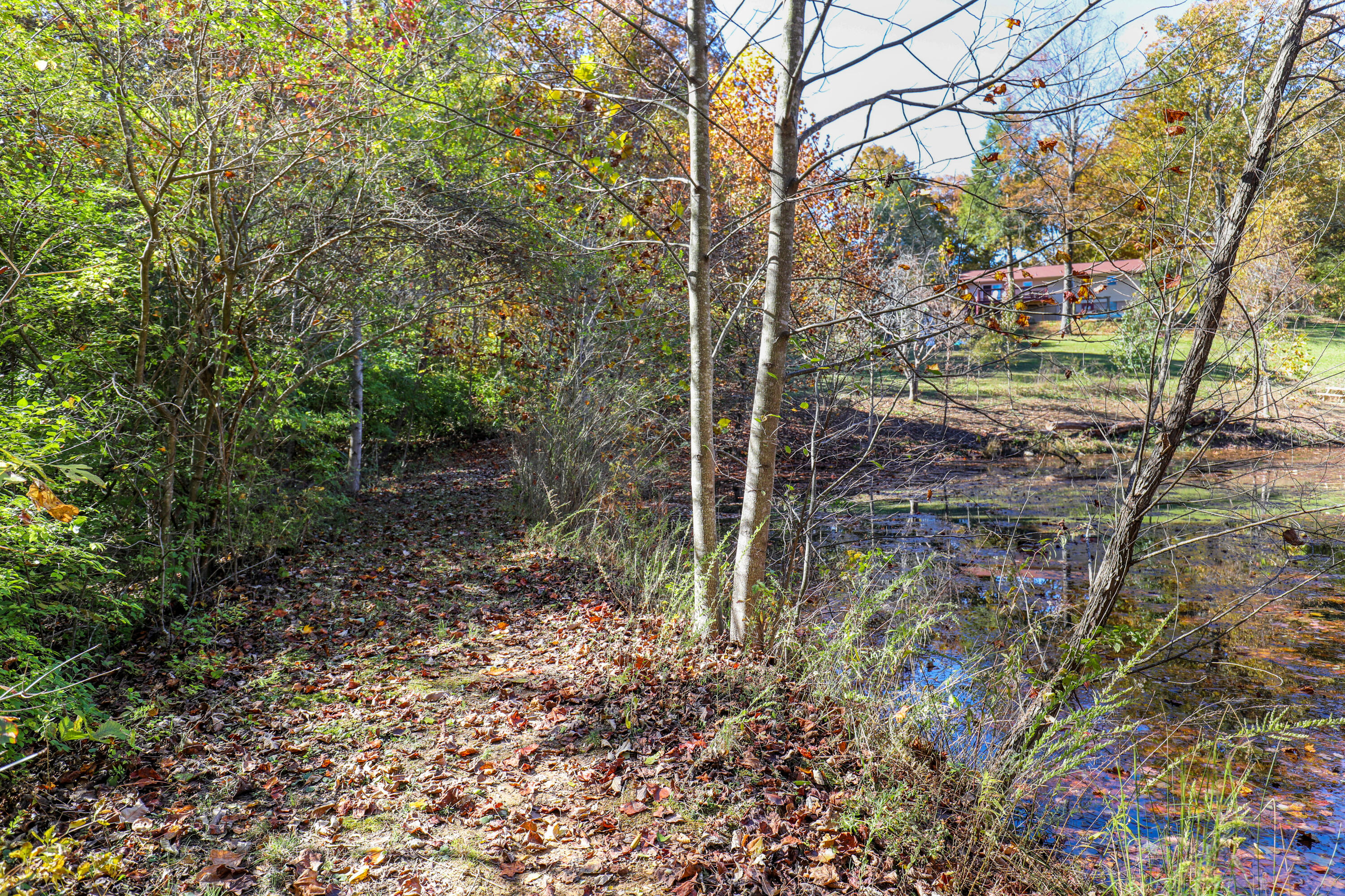 226 Hickory Ln