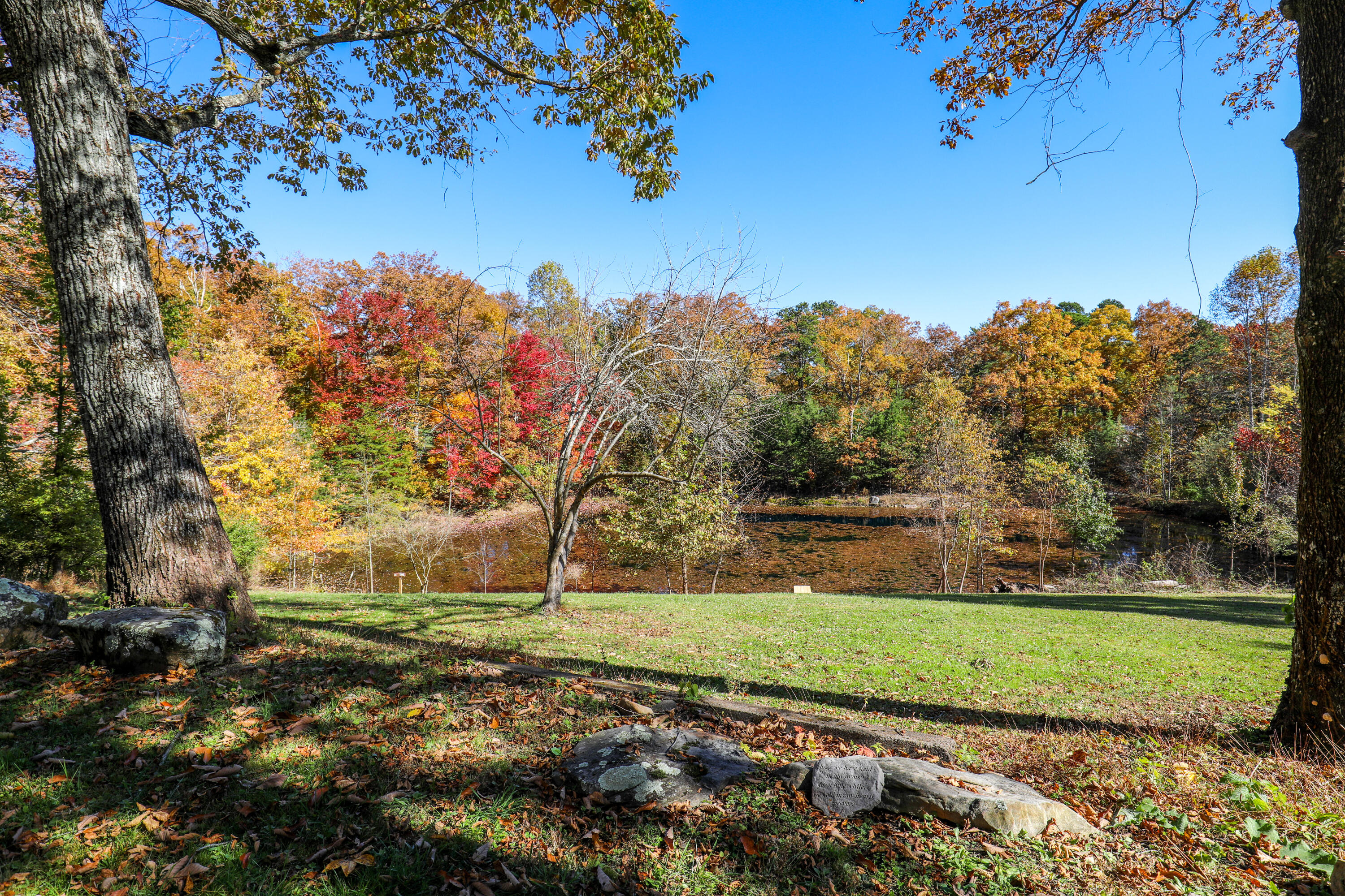 226 Hickory Ln