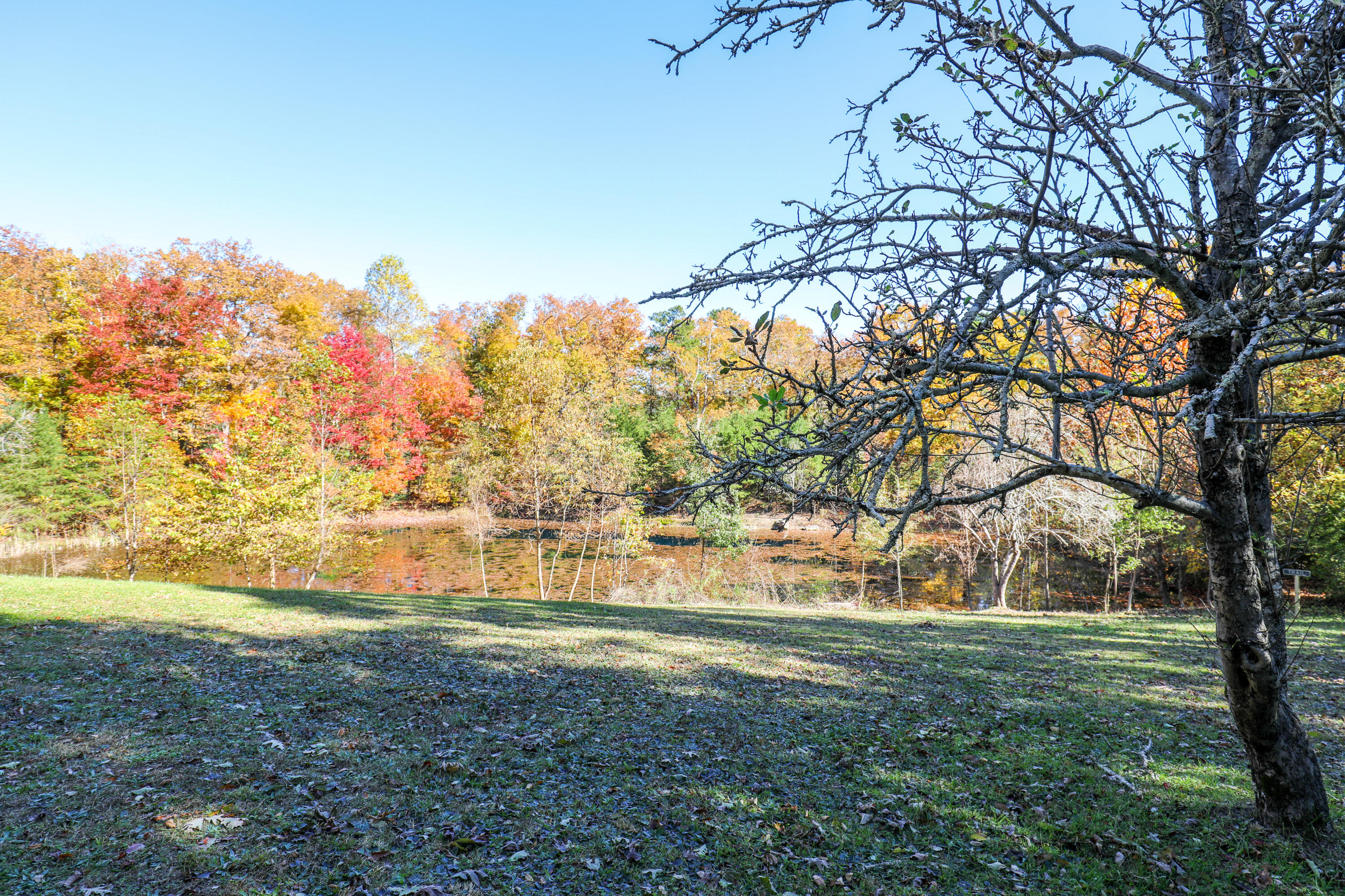 226 Hickory Ln